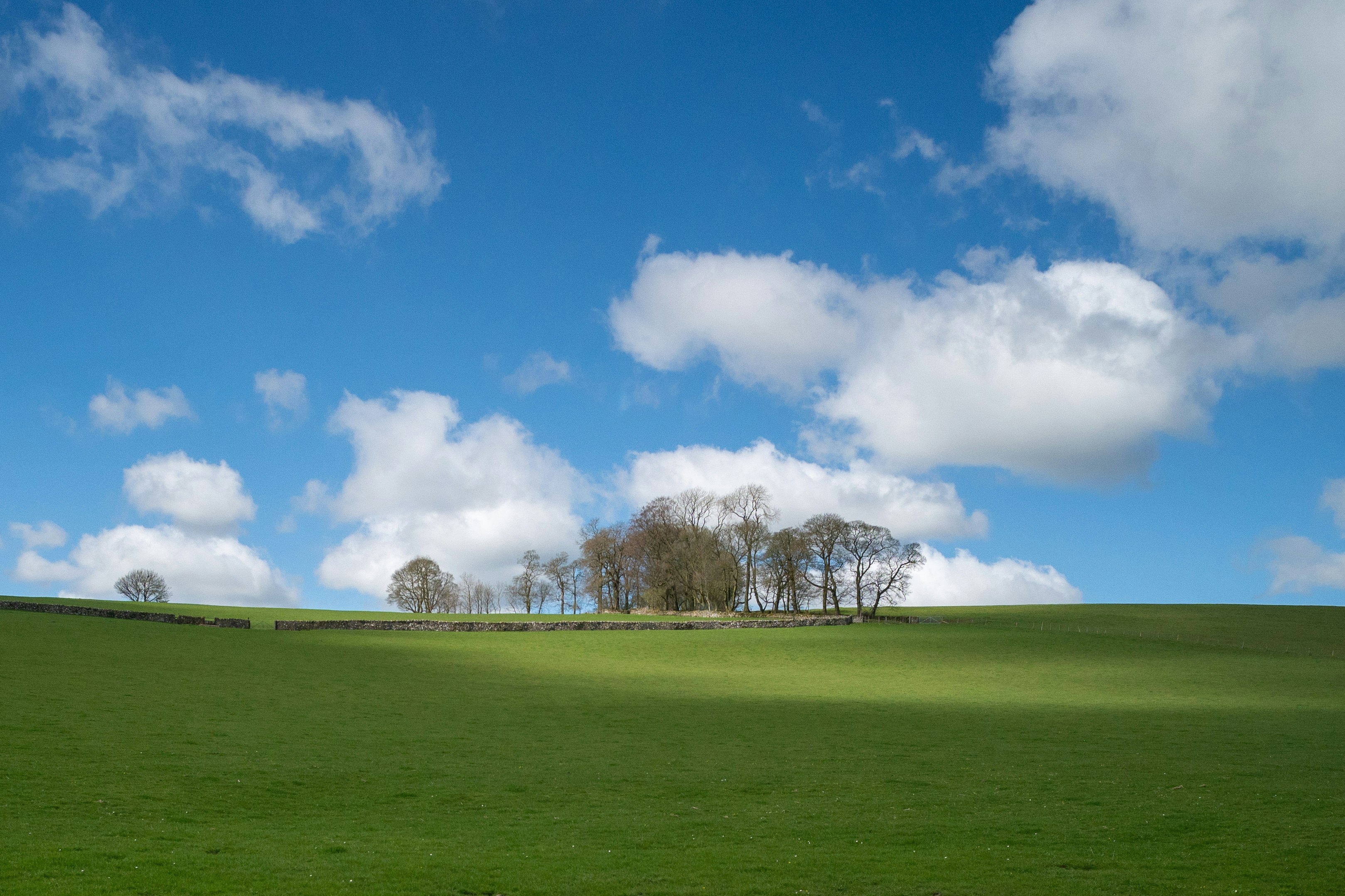 Photo by phoenix_2022