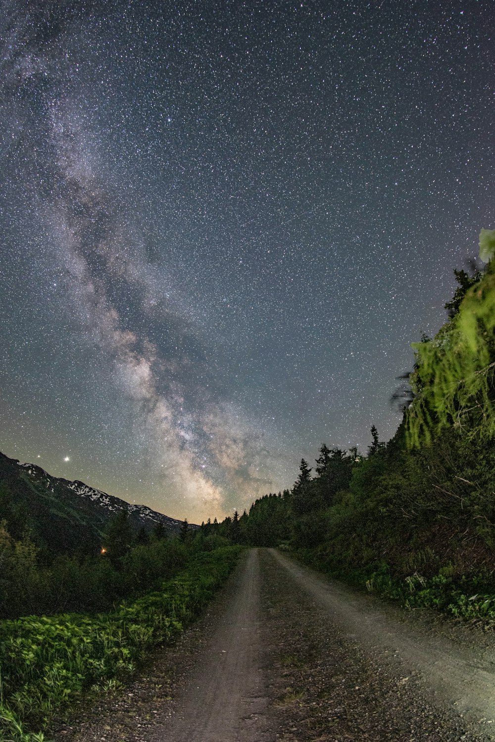 a road with trees and a starry sky above