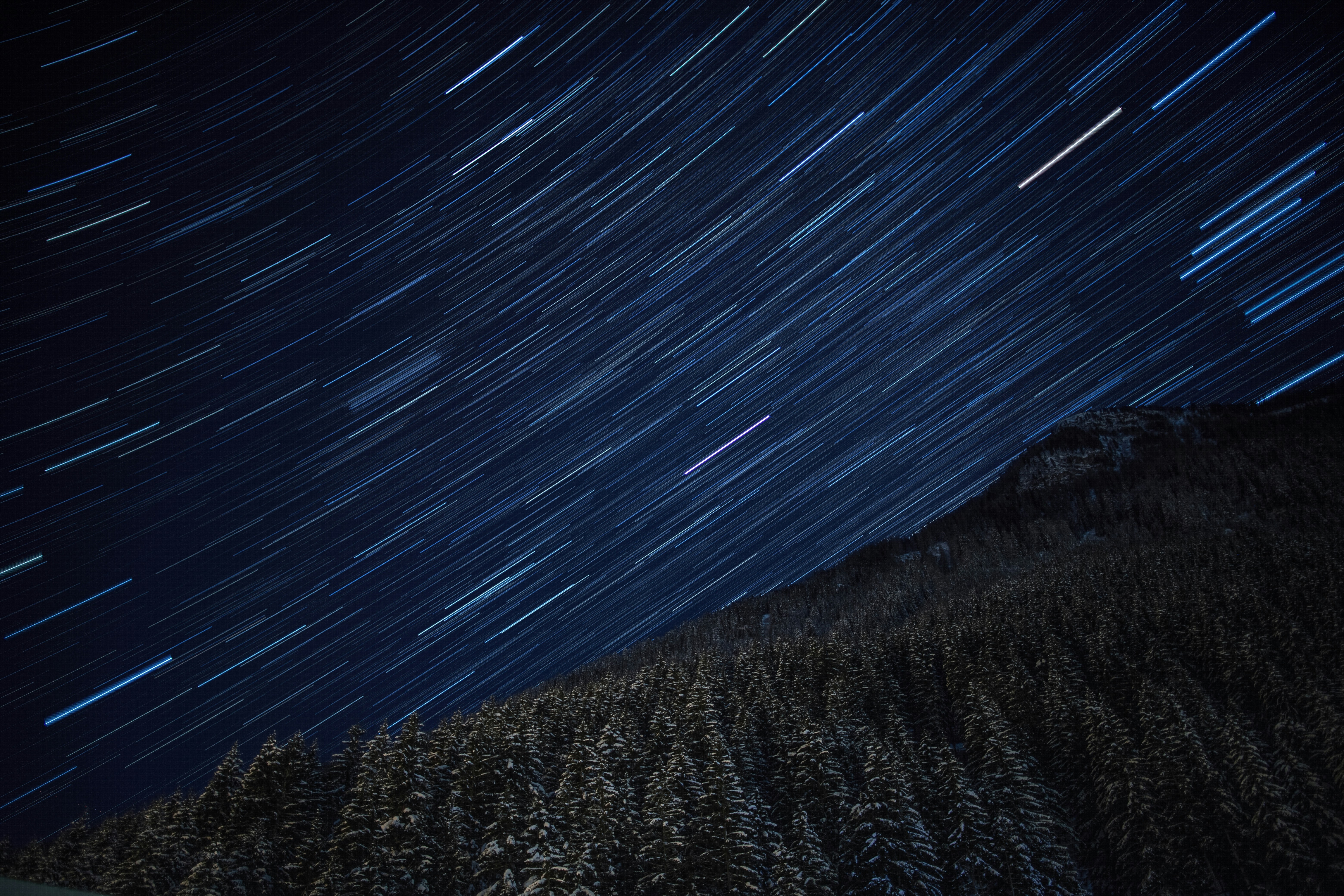 Photo by paul_steiner