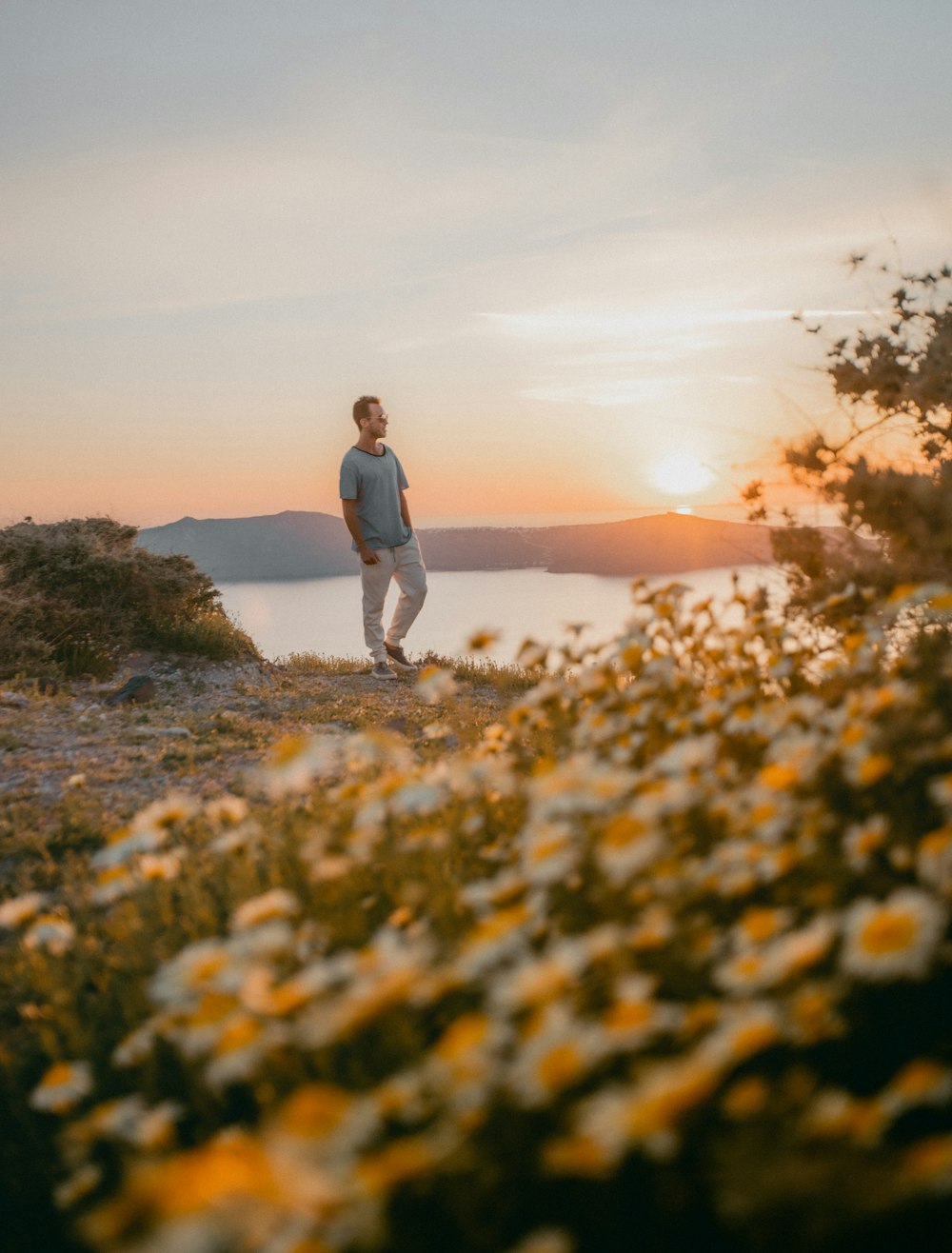 a man standing in a field of flowers