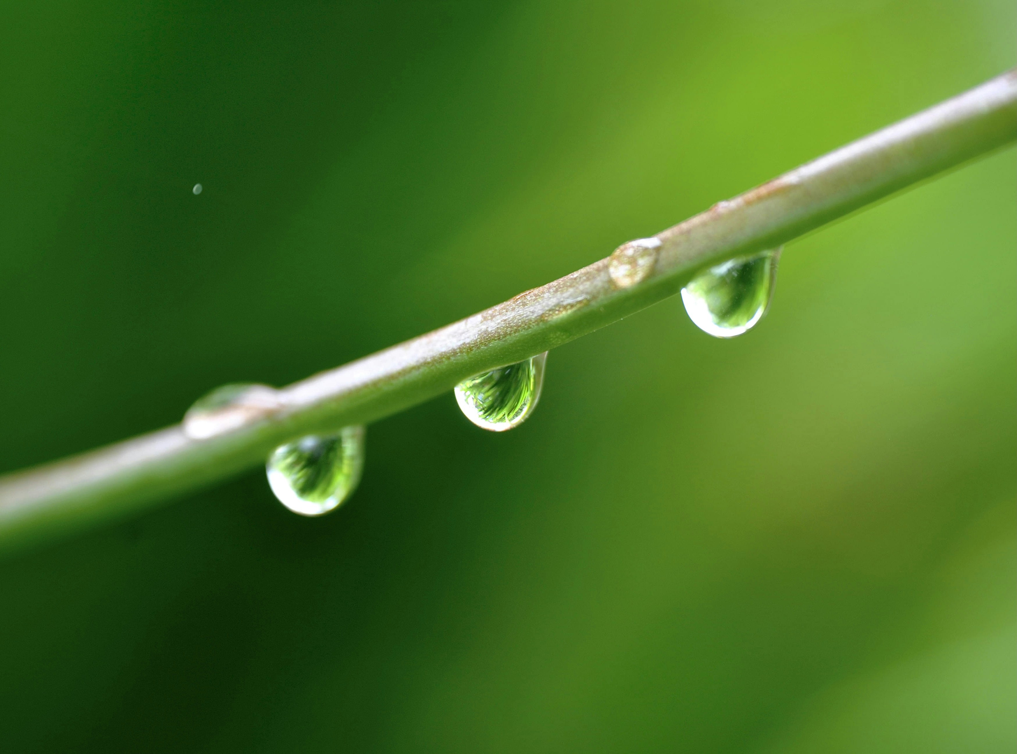 Photo by rashmi_joshi