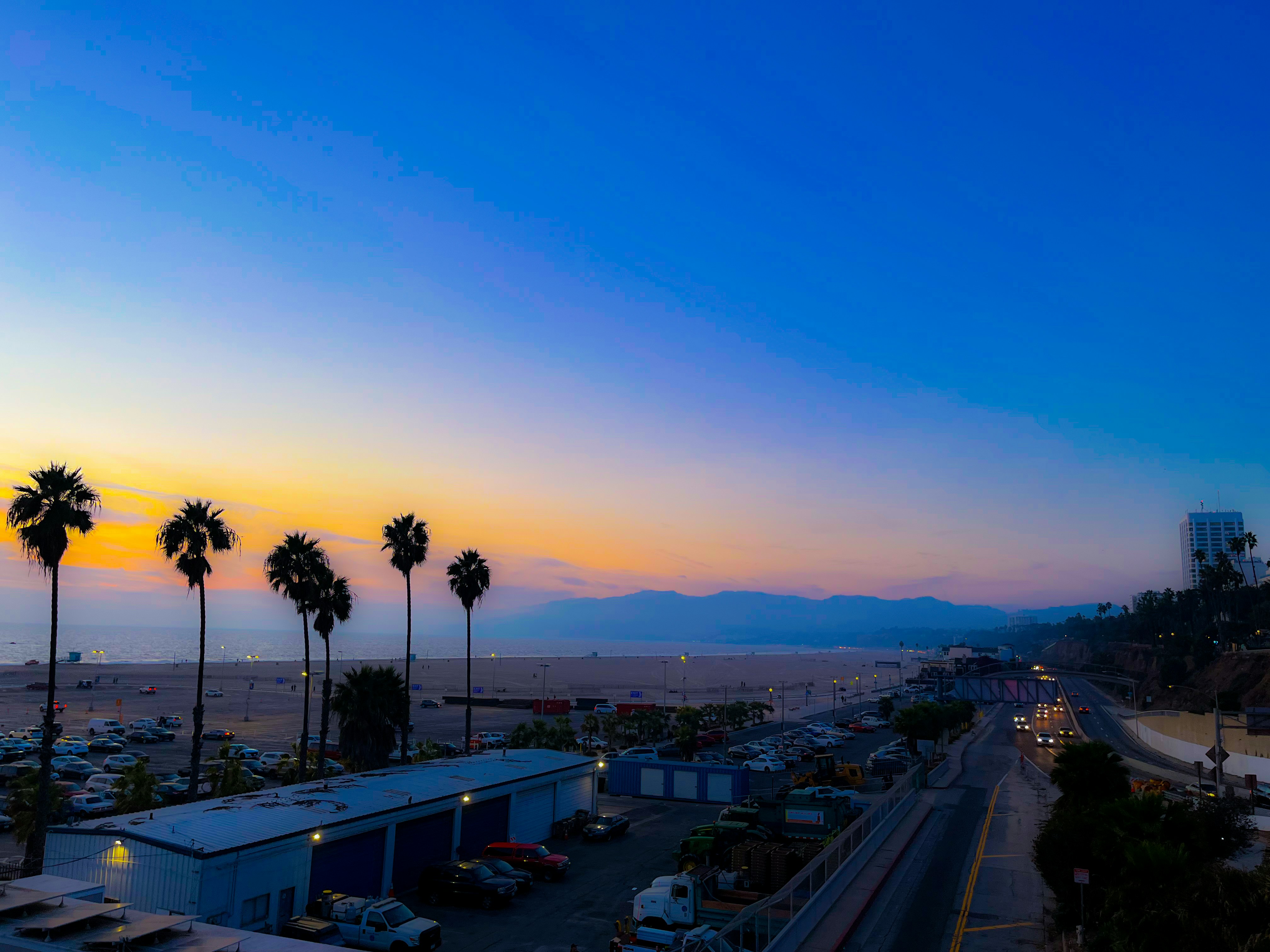 a parking lot with palm trees and a body of water in the background