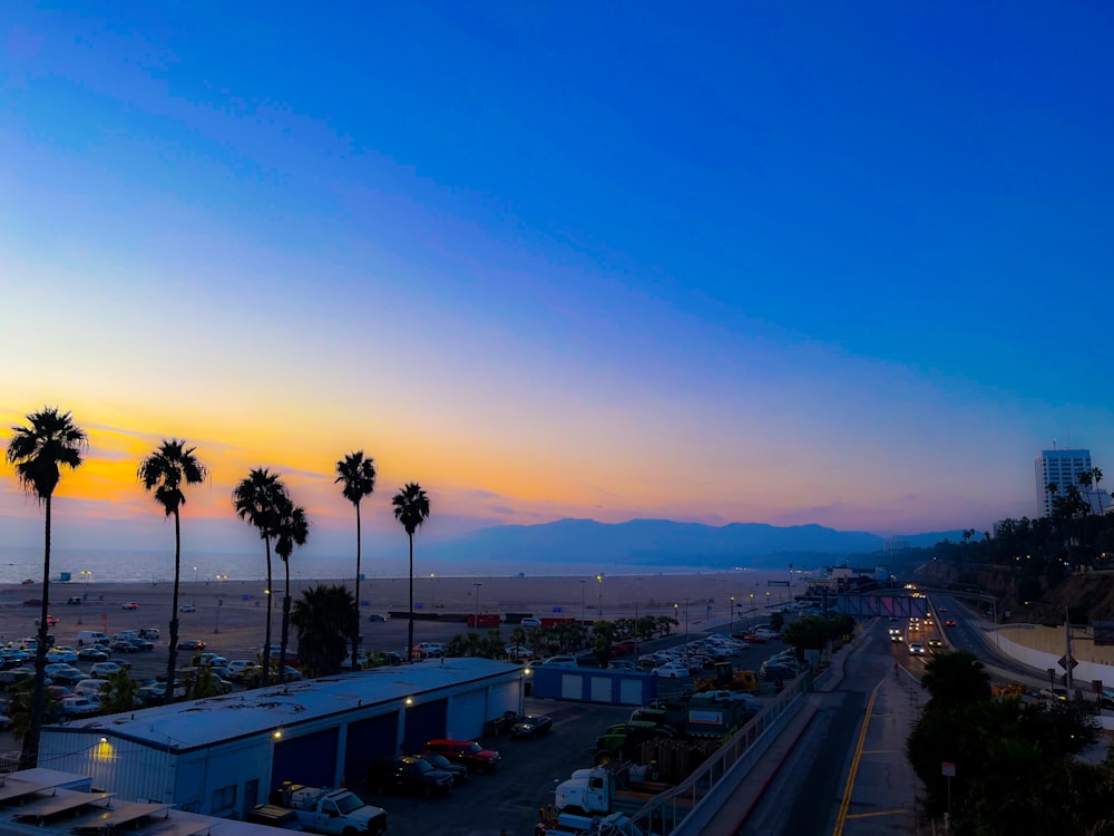 a parking lot with palm trees and a body of water in the background