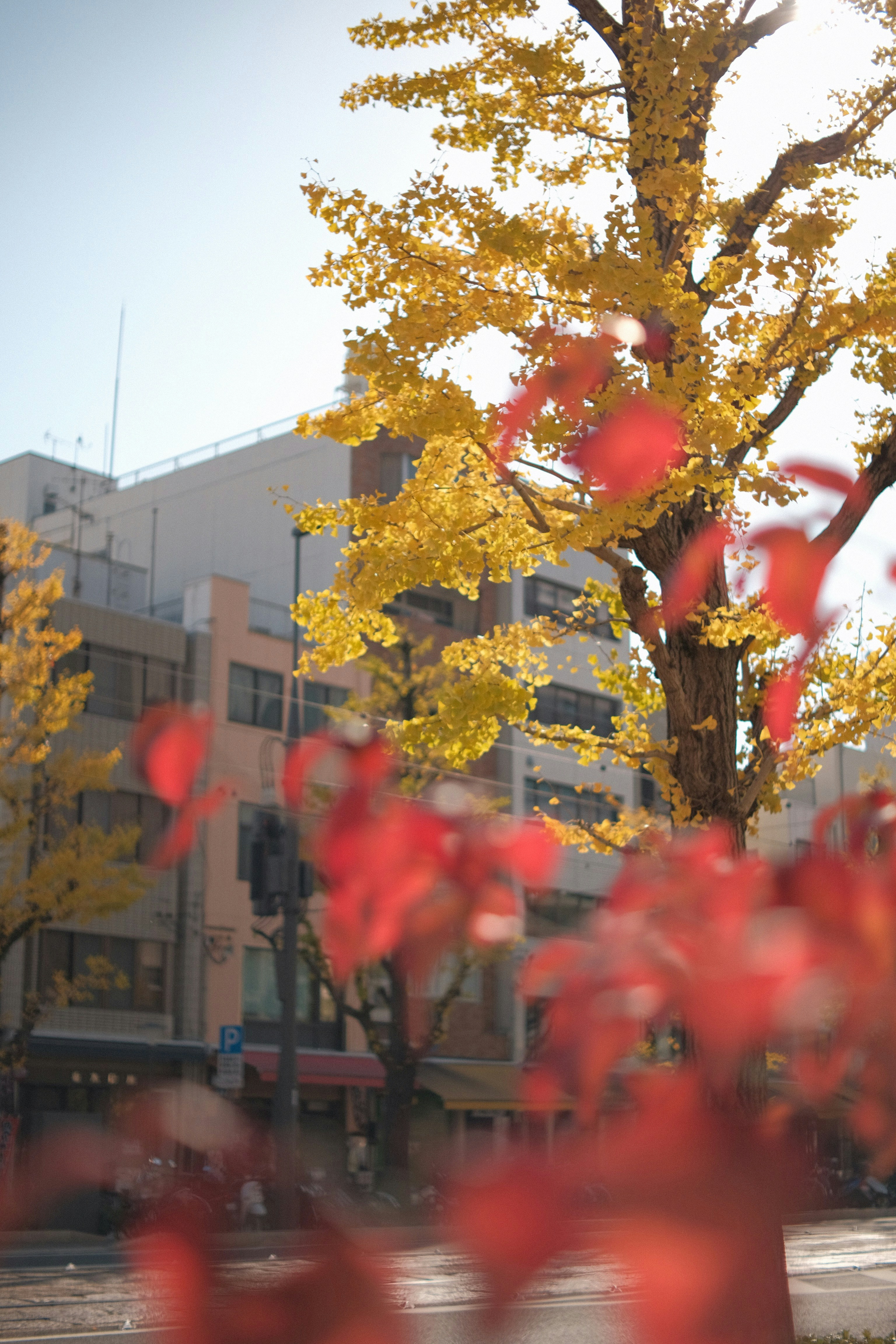 Photo by mak_jp