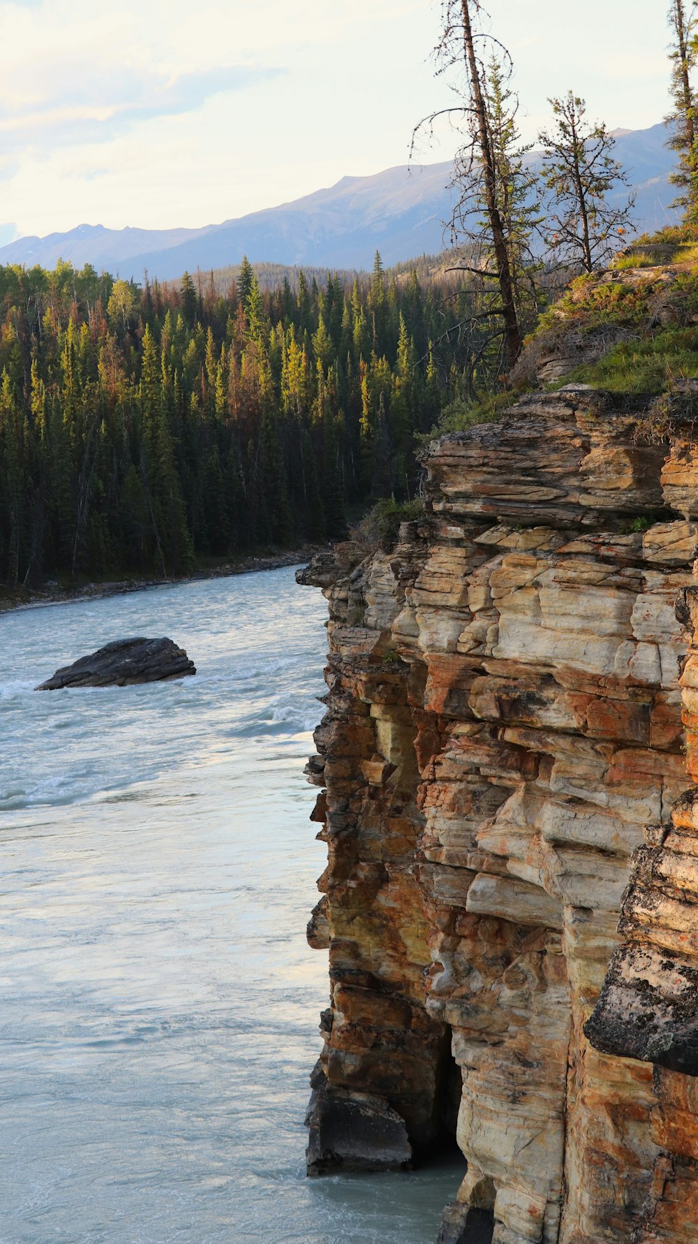 a river with rocks and trees