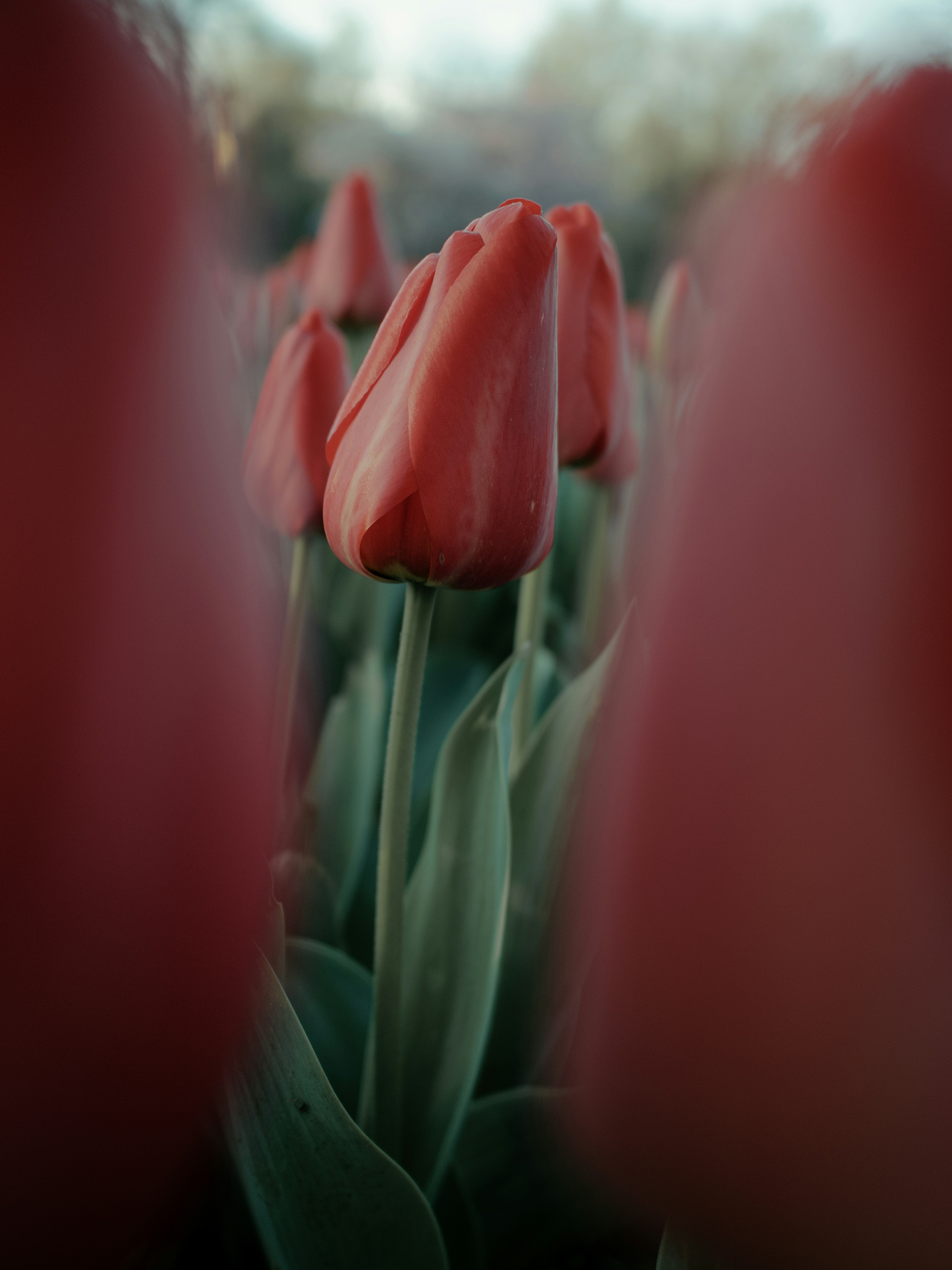 Photo by aaronburden