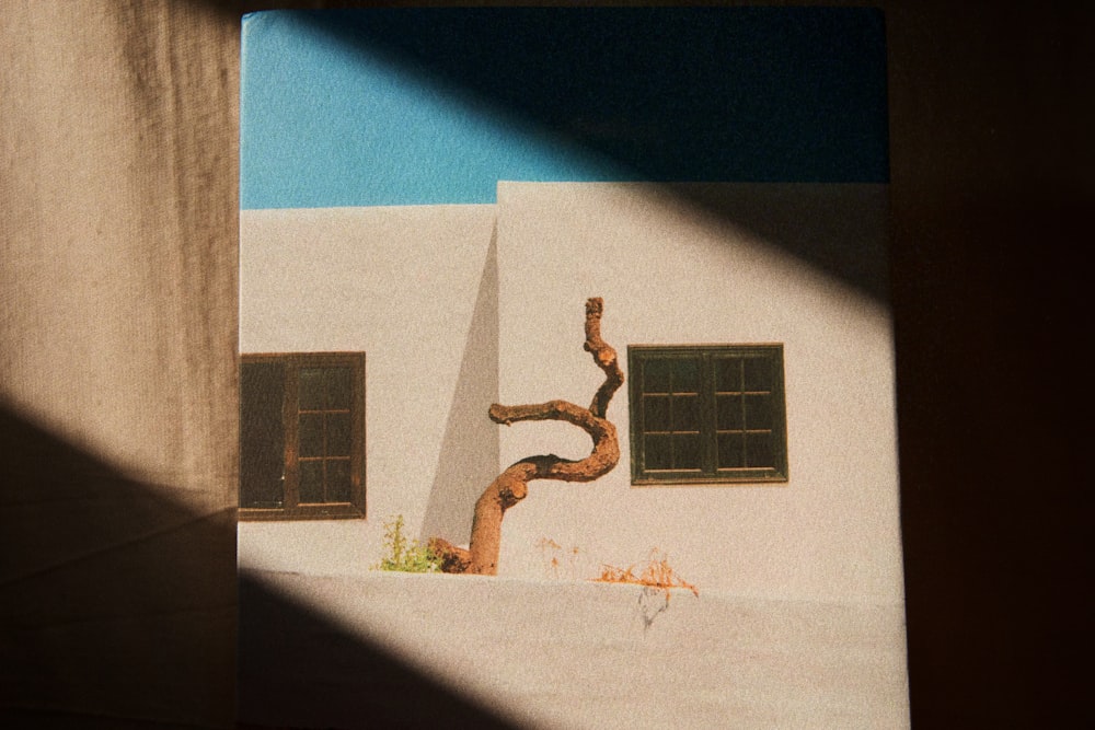 a tree branch in front of a house