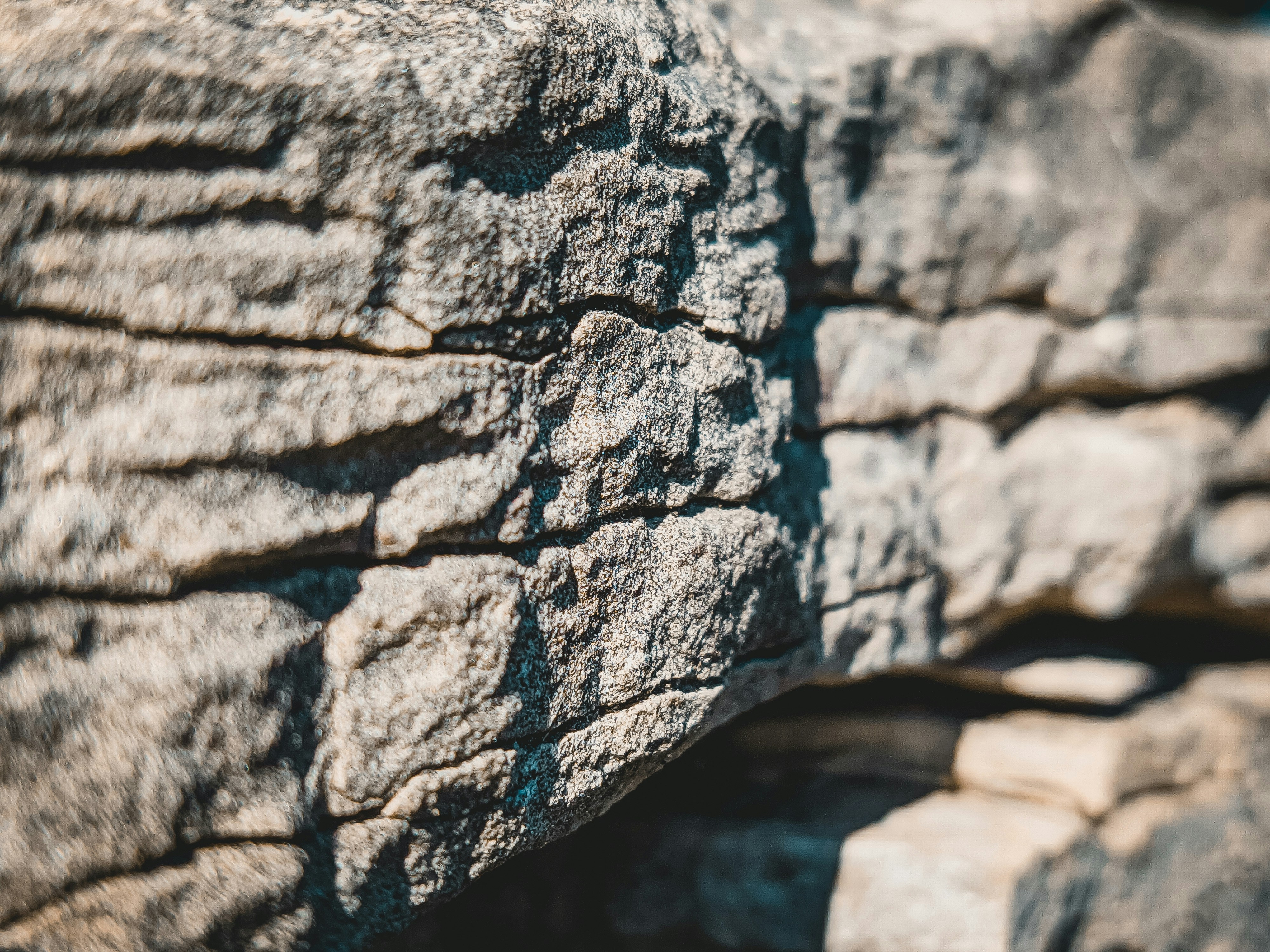 Photo by alexshuperart