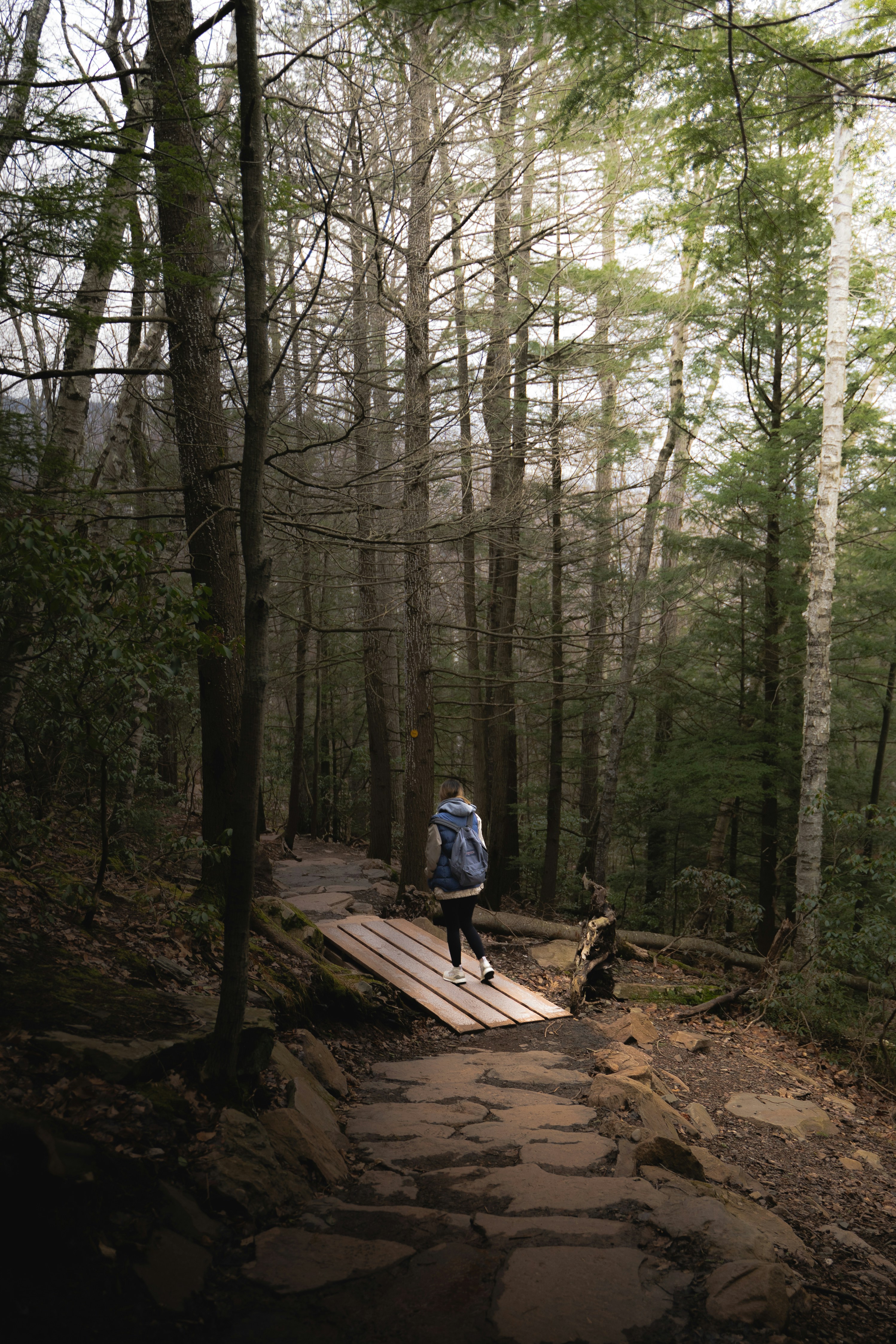 Photo by b_atchison98