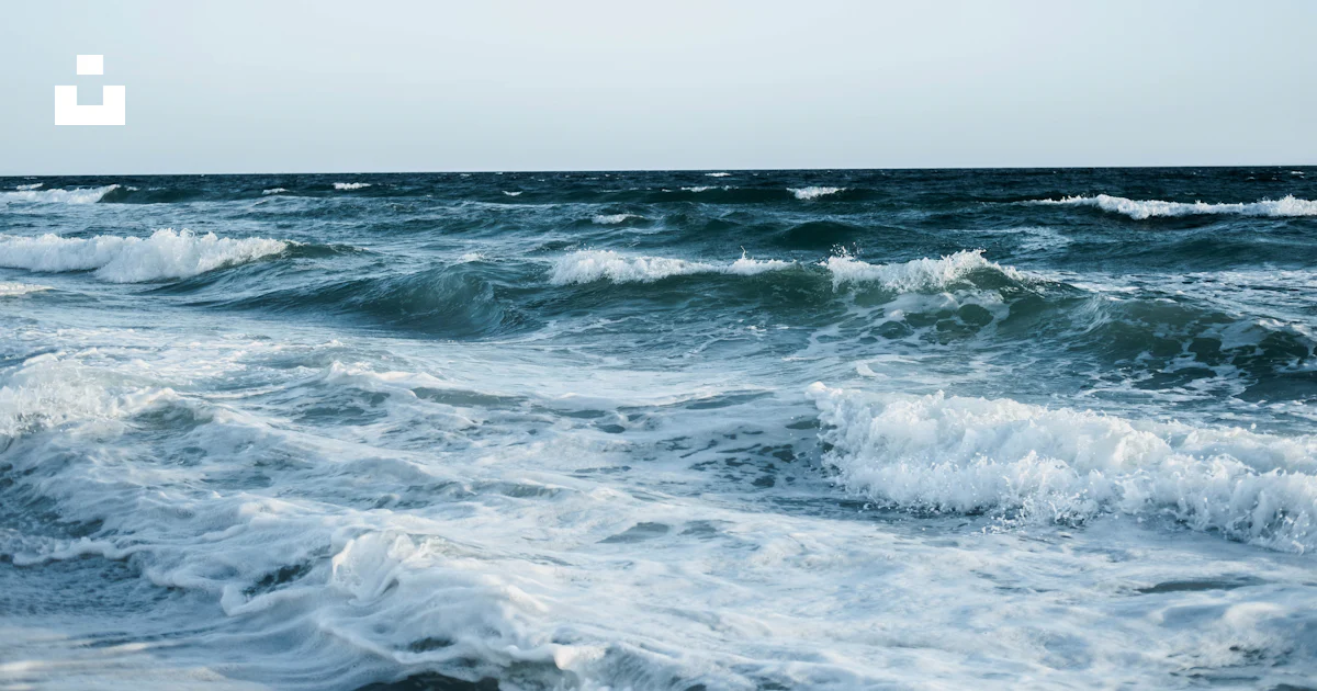 해변의 파도 사진 – Unsplash의 무료 회색 이미지