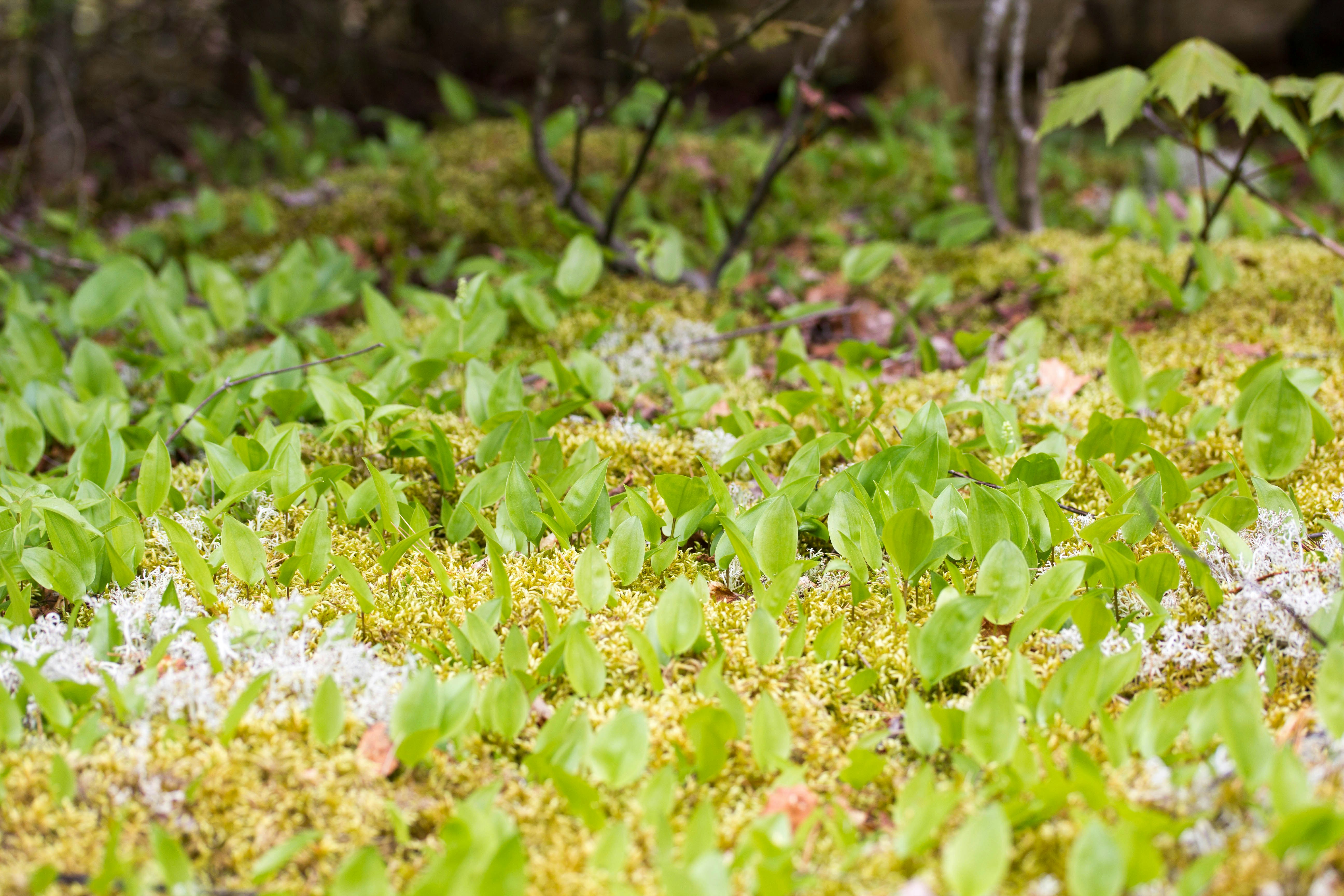 Photo by wondroustrange