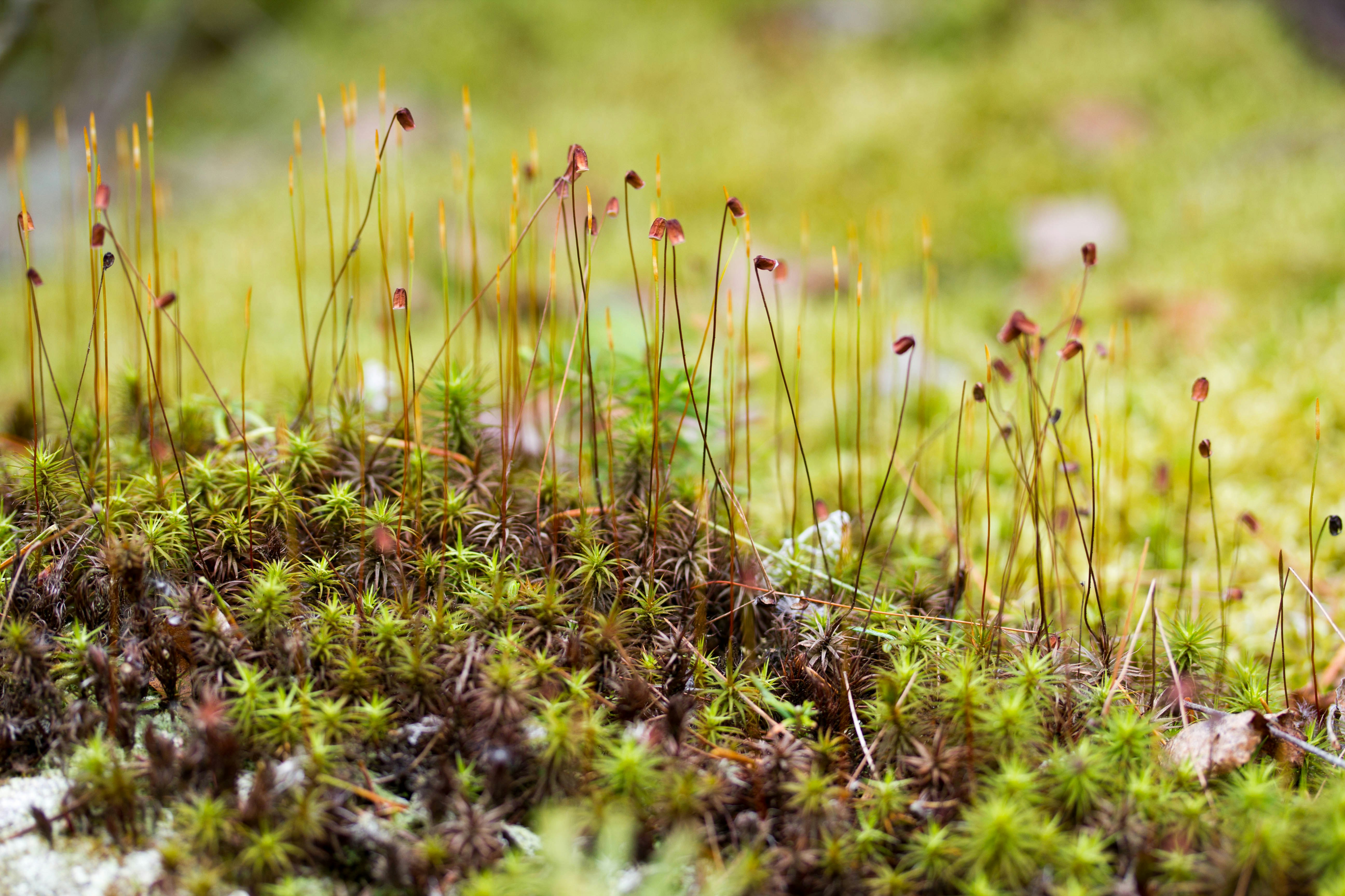 Photo by wondroustrange