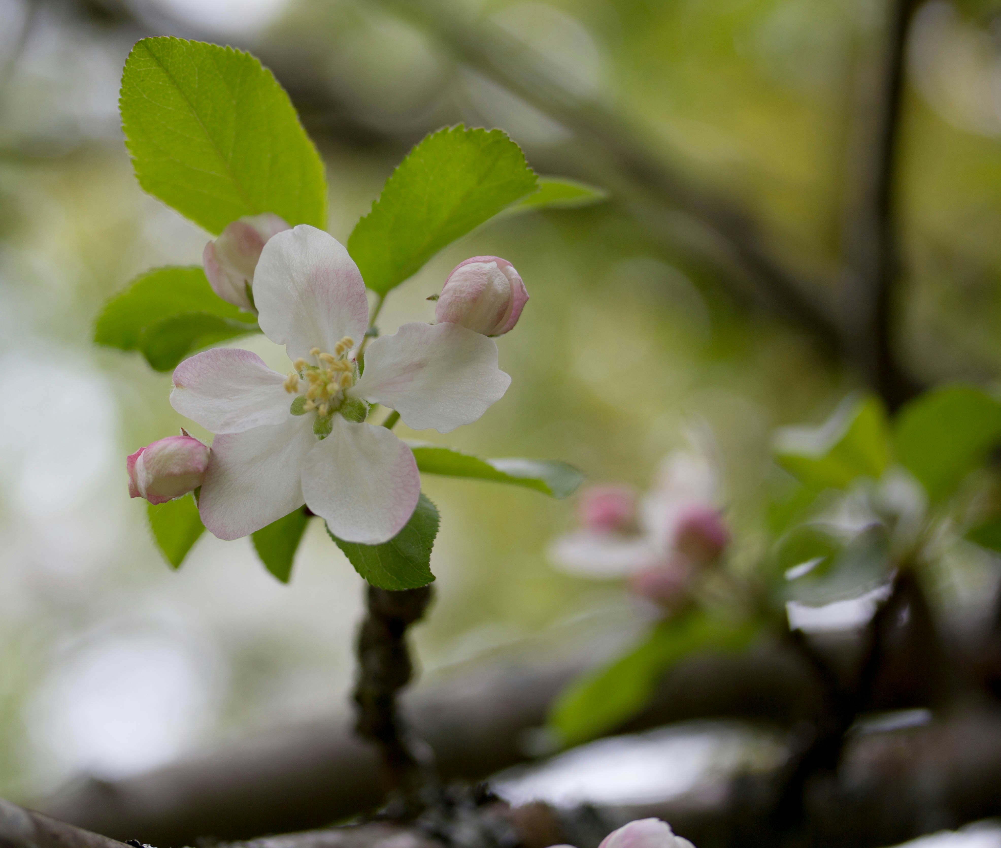 Photo by wondroustrange