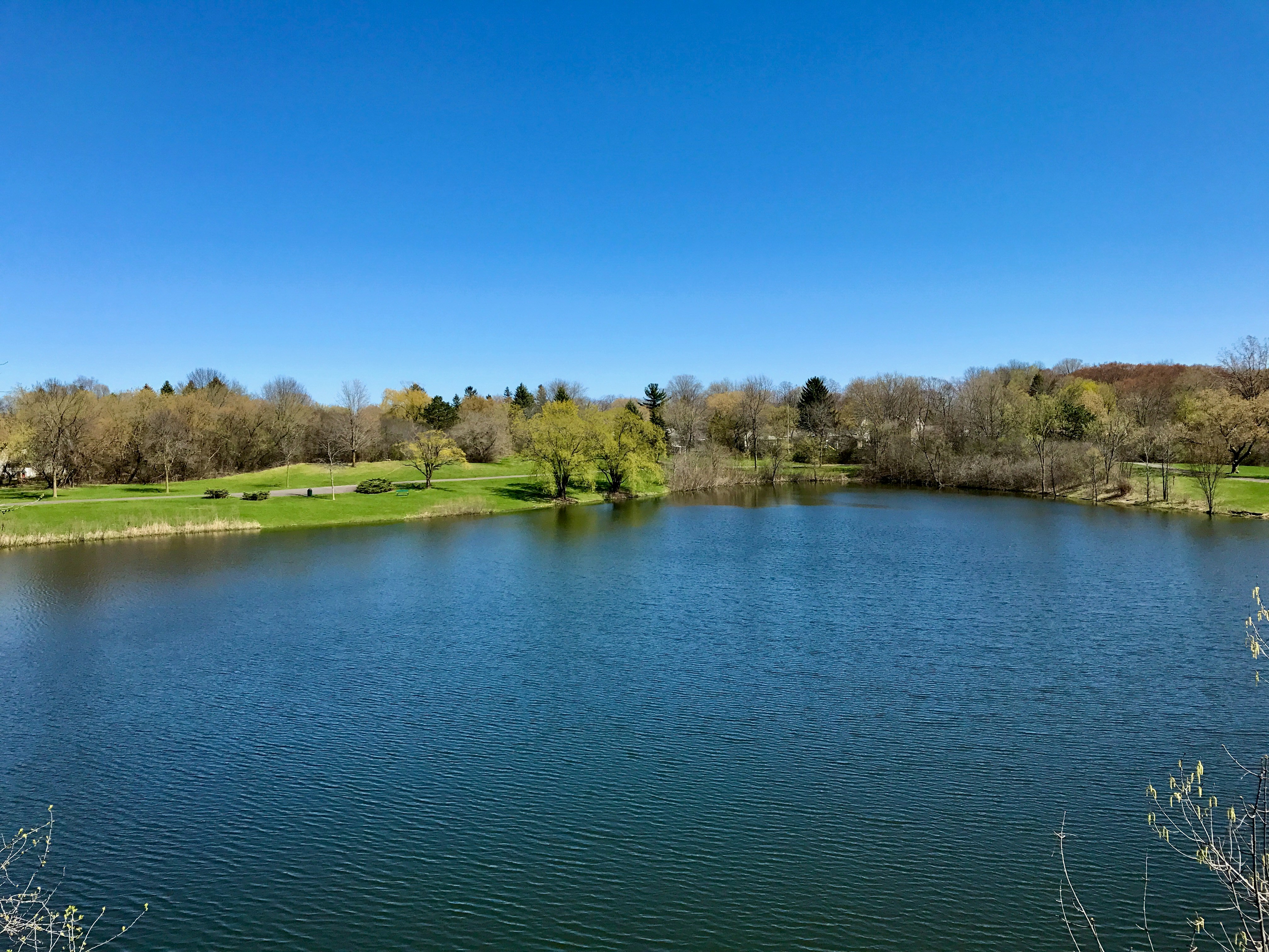 a body of water with trees around it