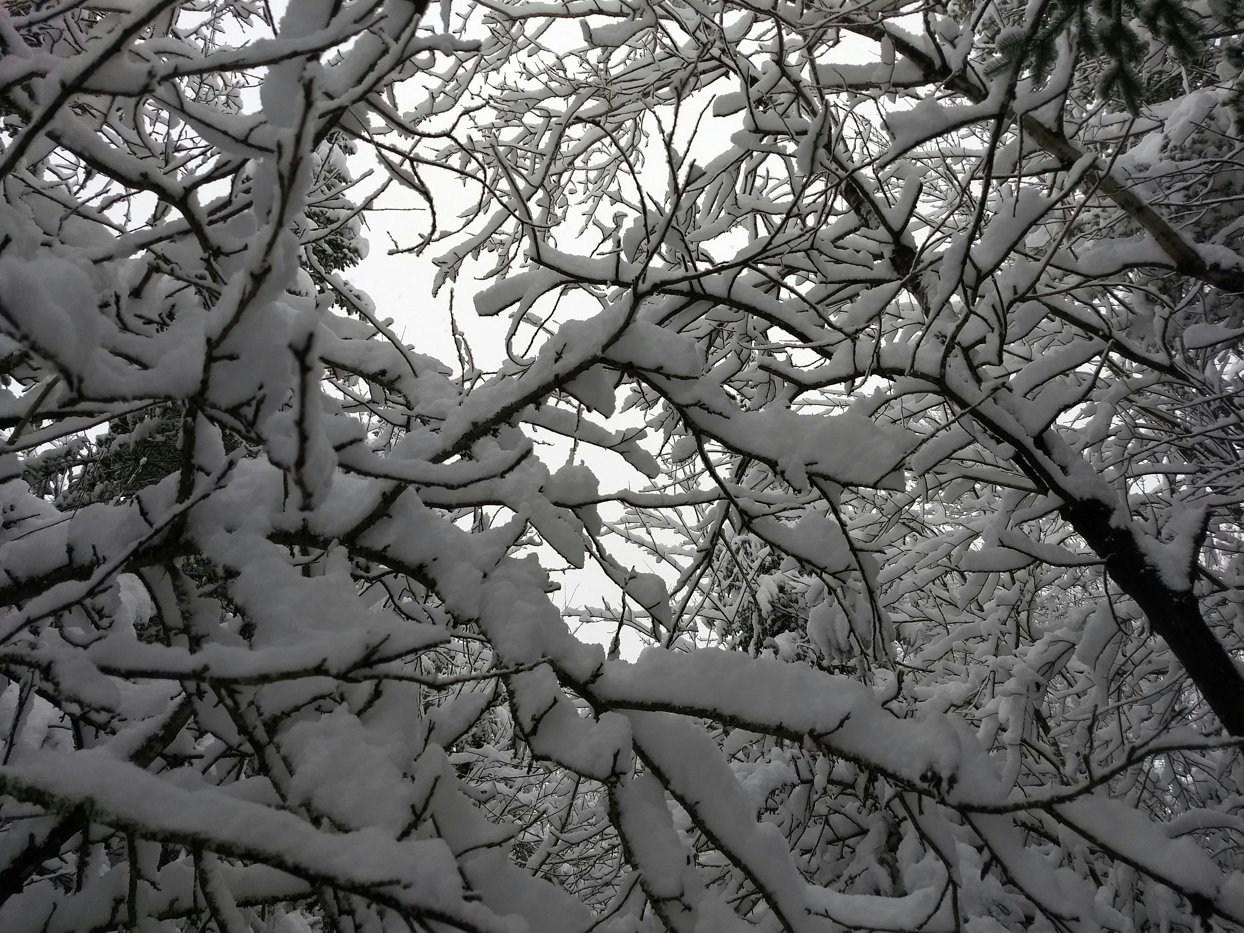 Photo by wondroustrange