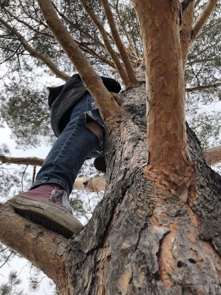 Emergency crew working on a tree that has fallen after a storm