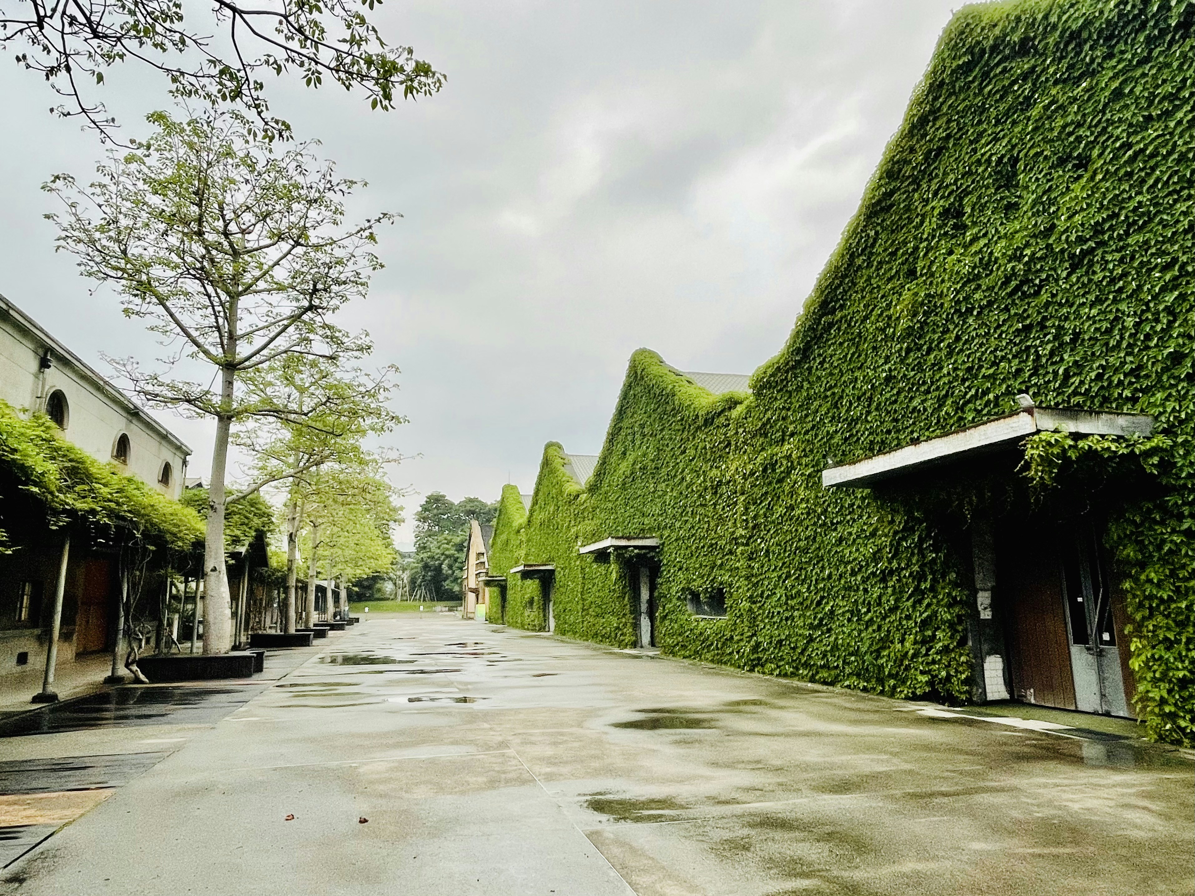 a street with houses on both sides