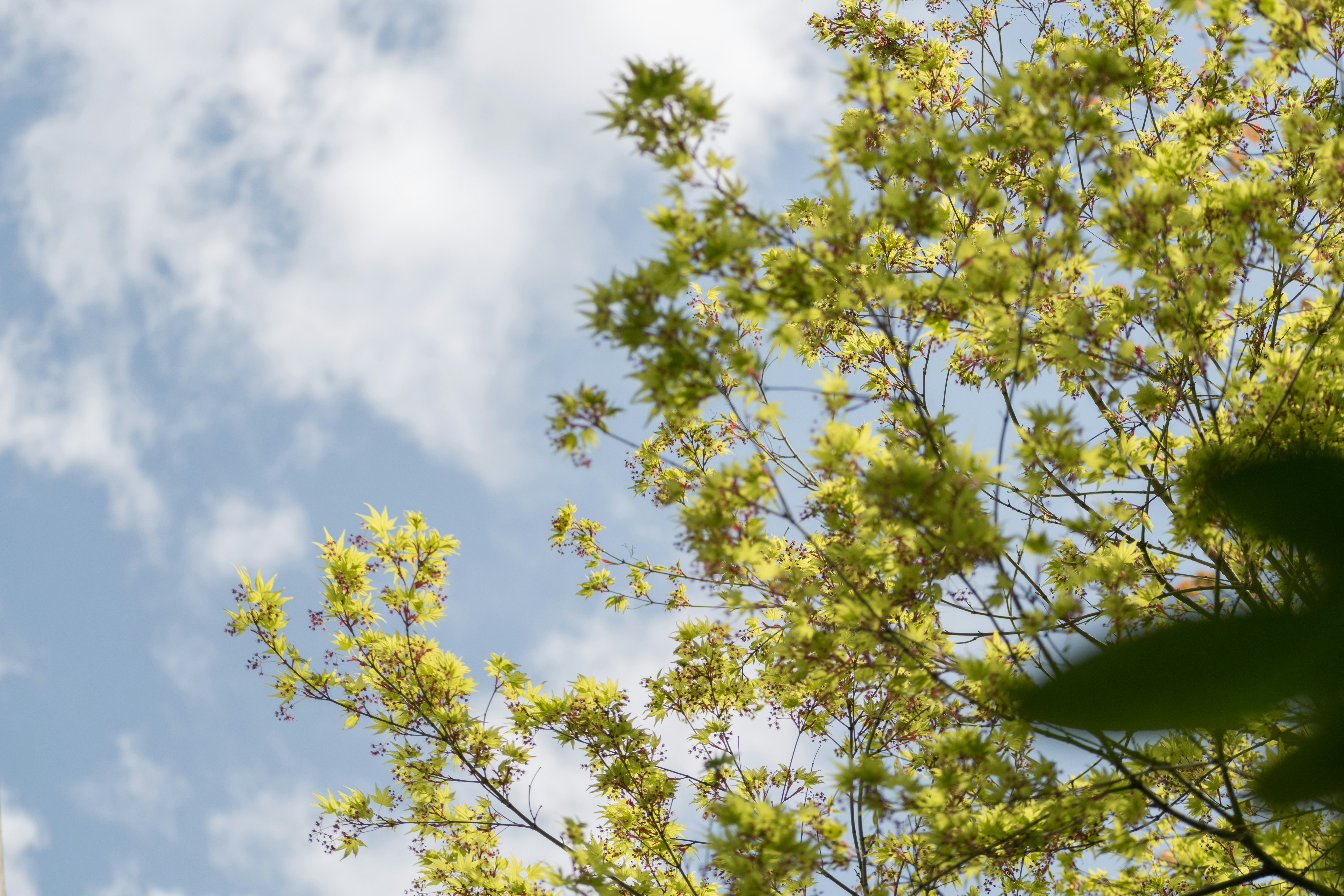 Photo by albertstoynov