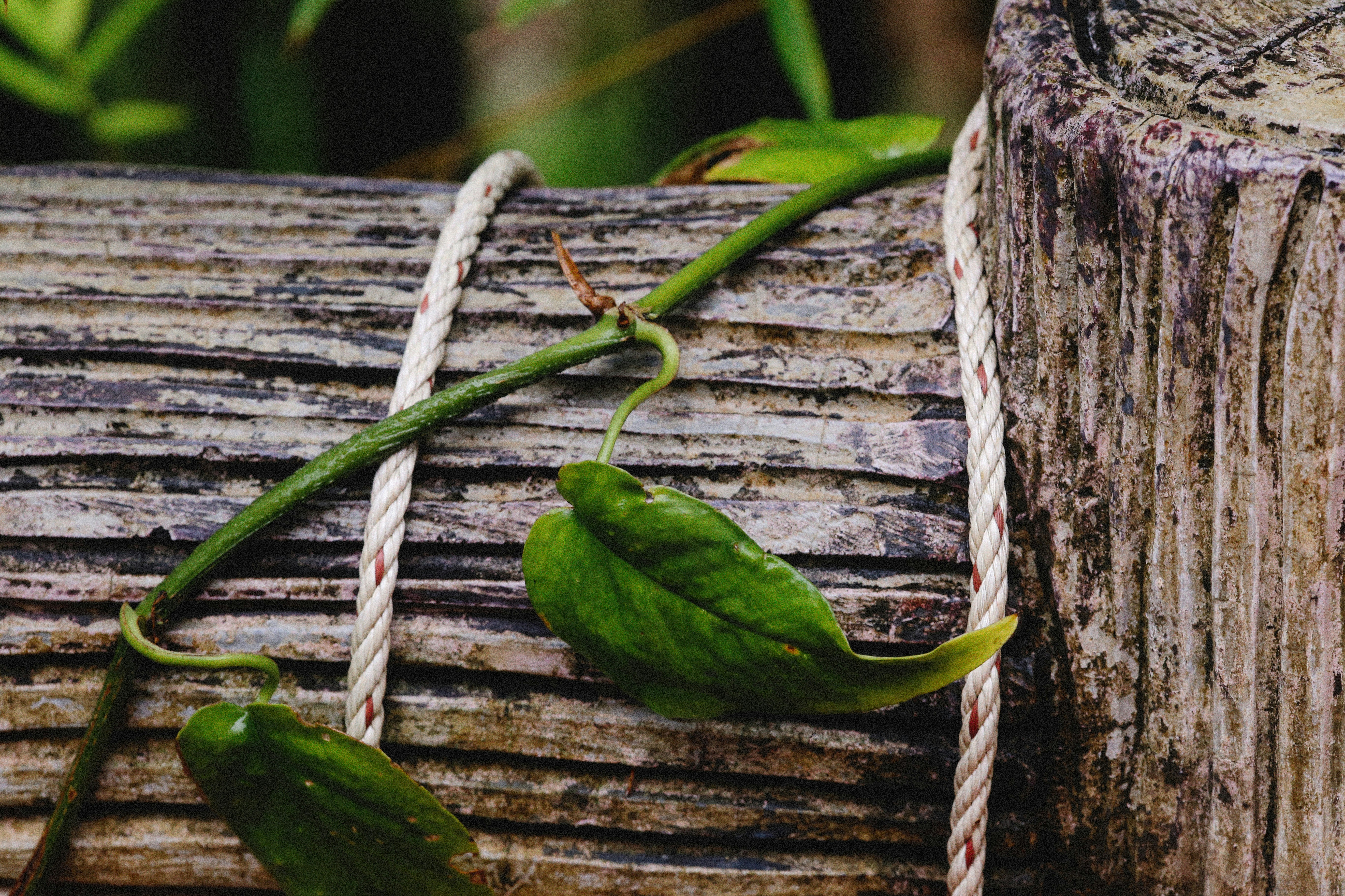 Photo by alexeydemidov