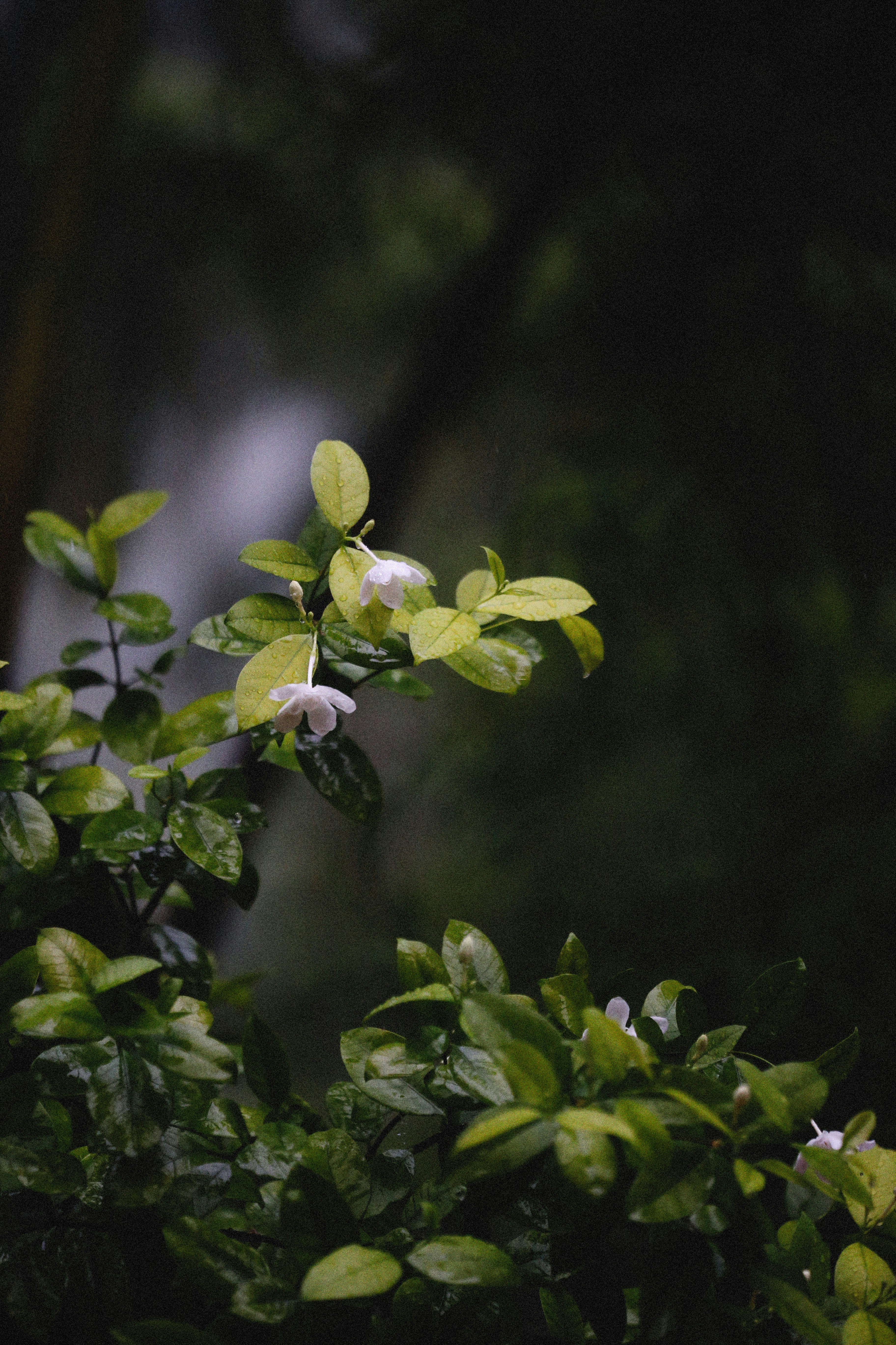 Photo by alexeydemidov