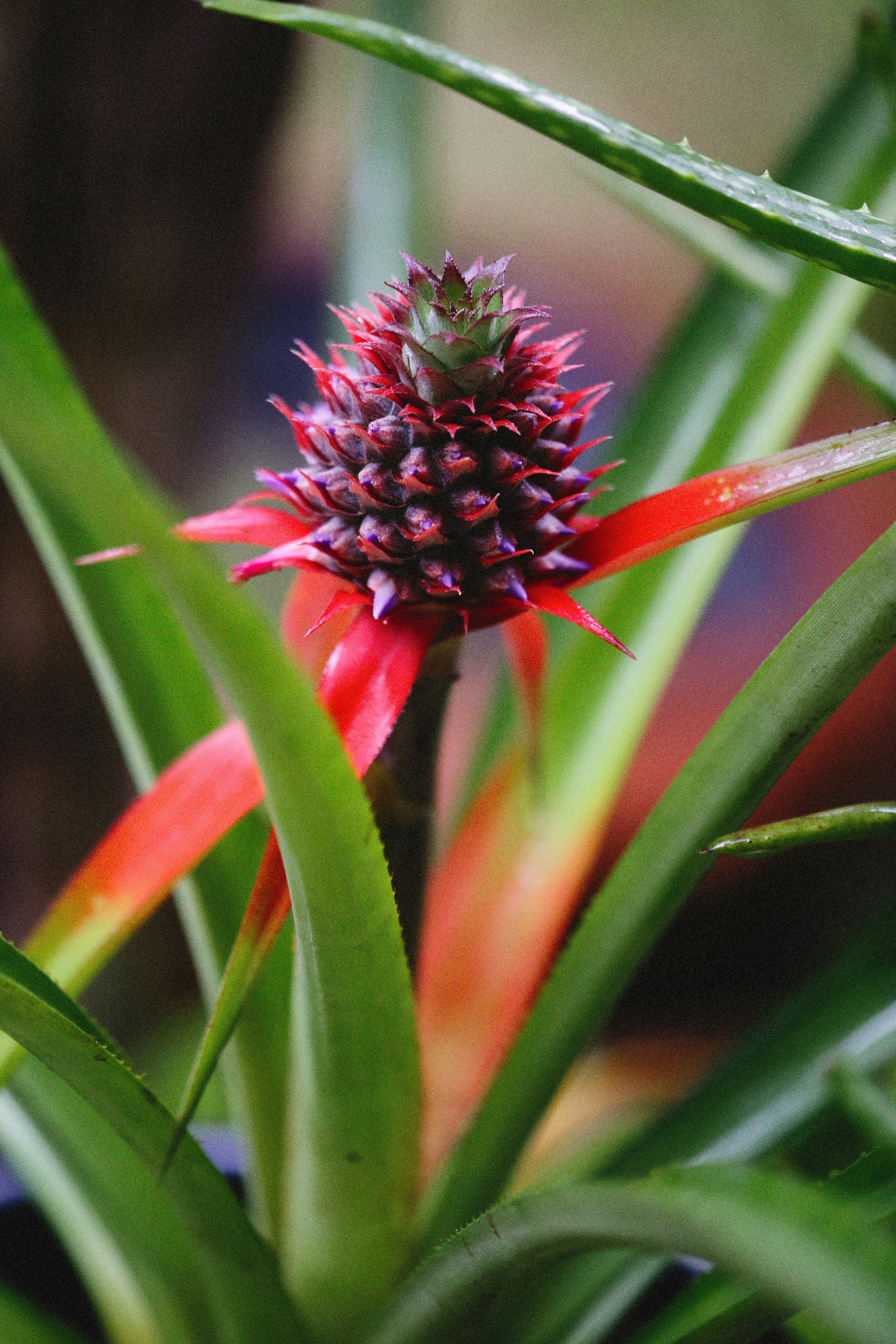 Photo by alexeydemidov