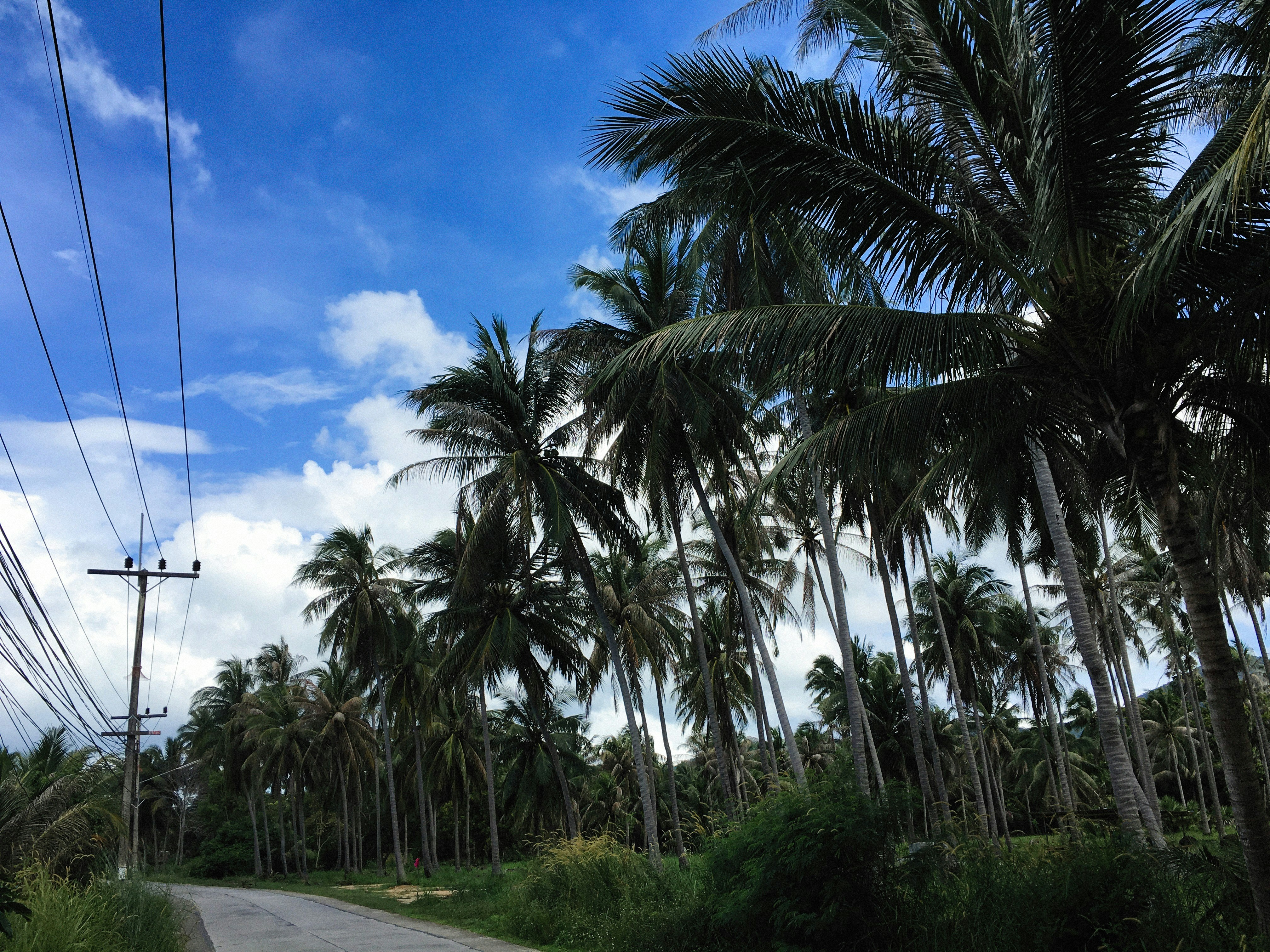 Photo by alexeydemidov