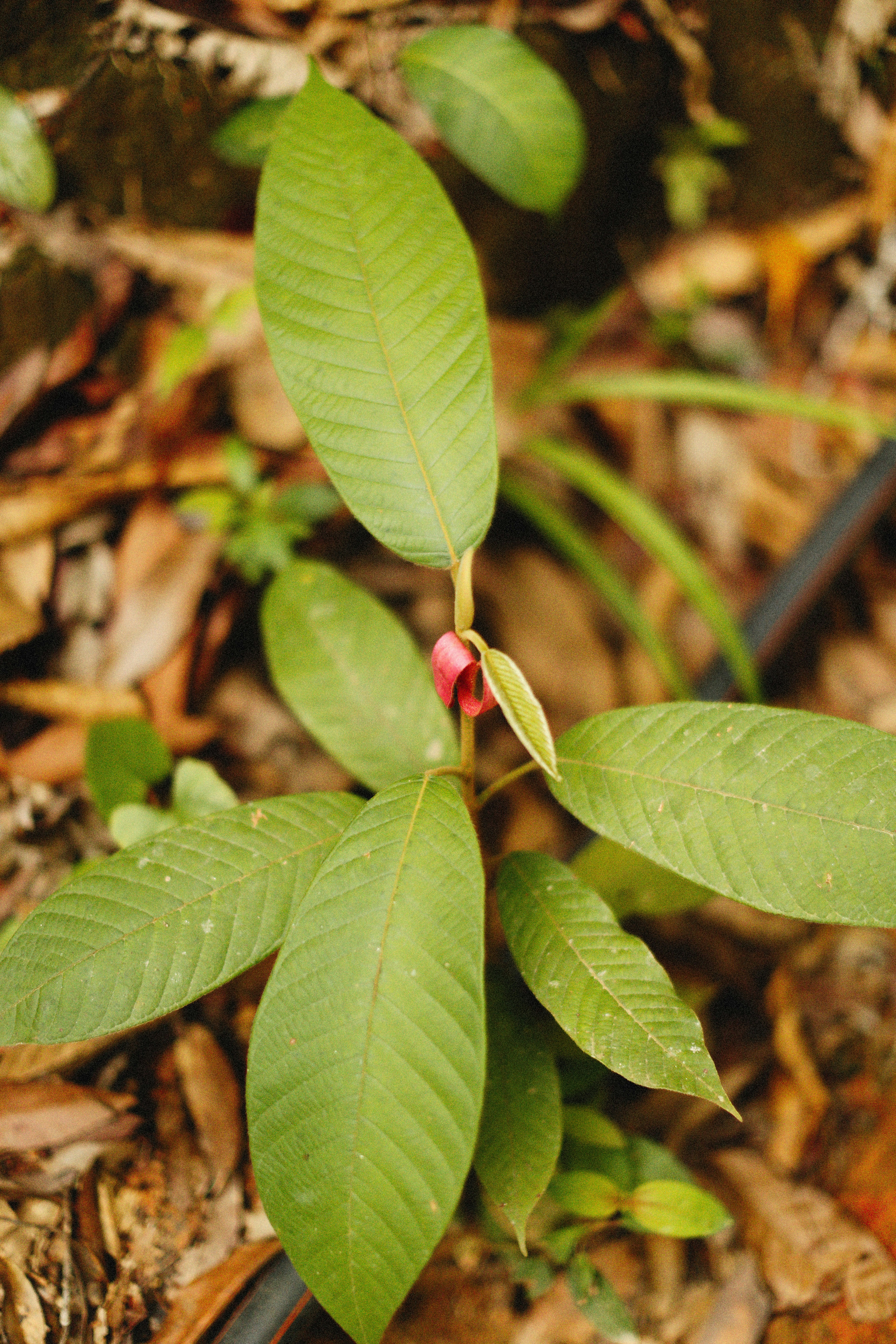 Photo by alexeydemidov
