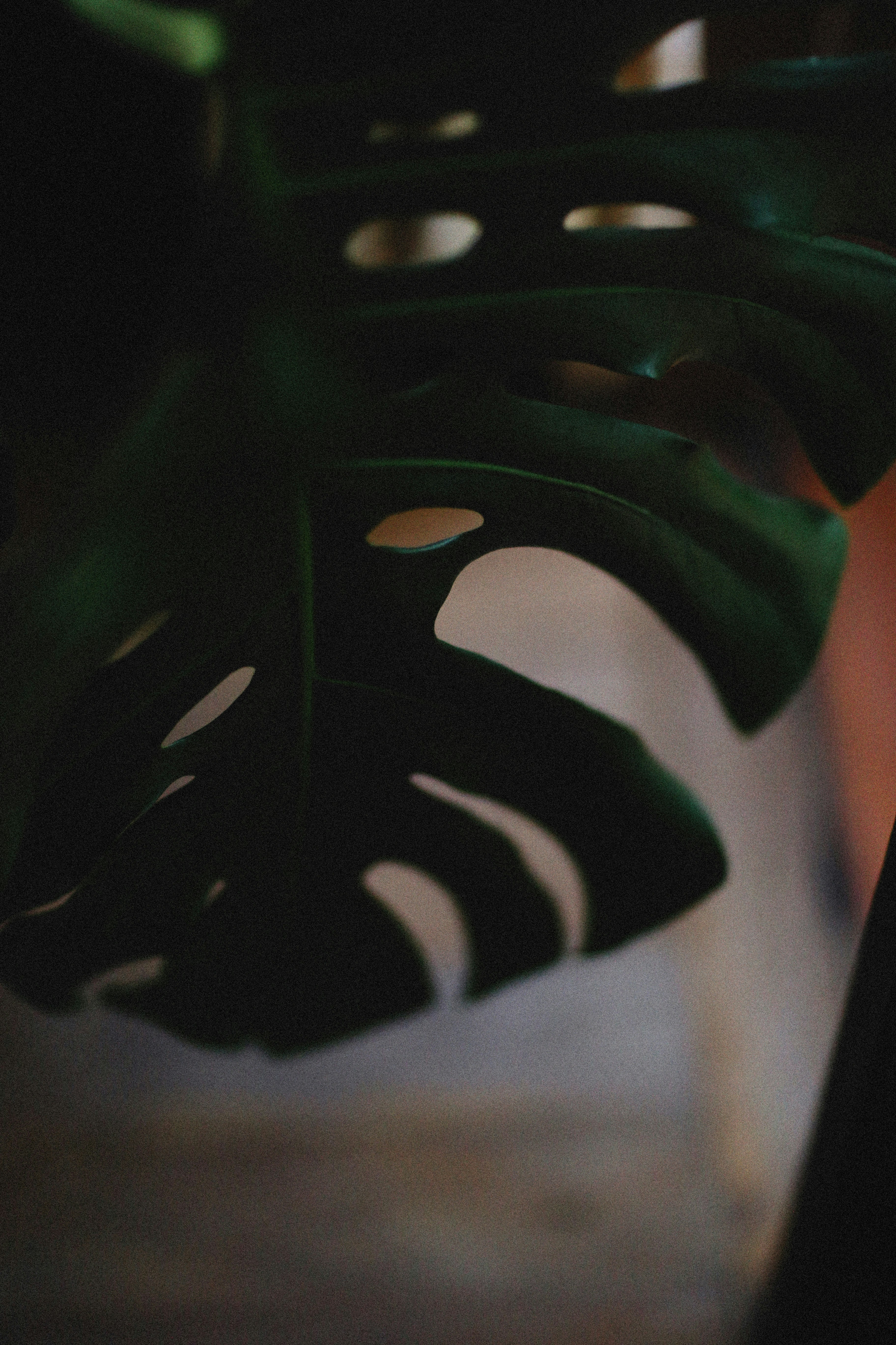 Photo by alexeydemidov