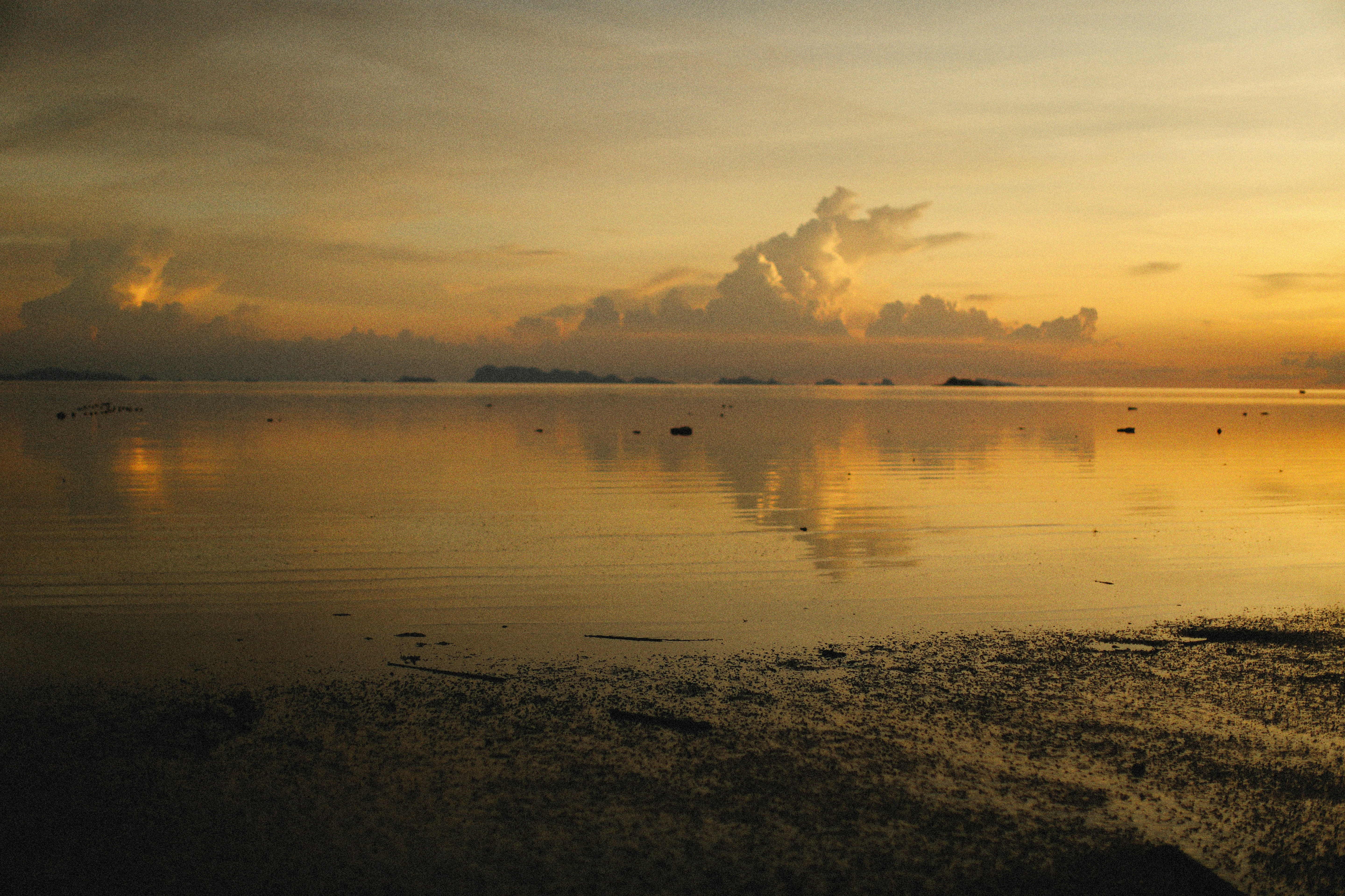 Photo by alexeydemidov