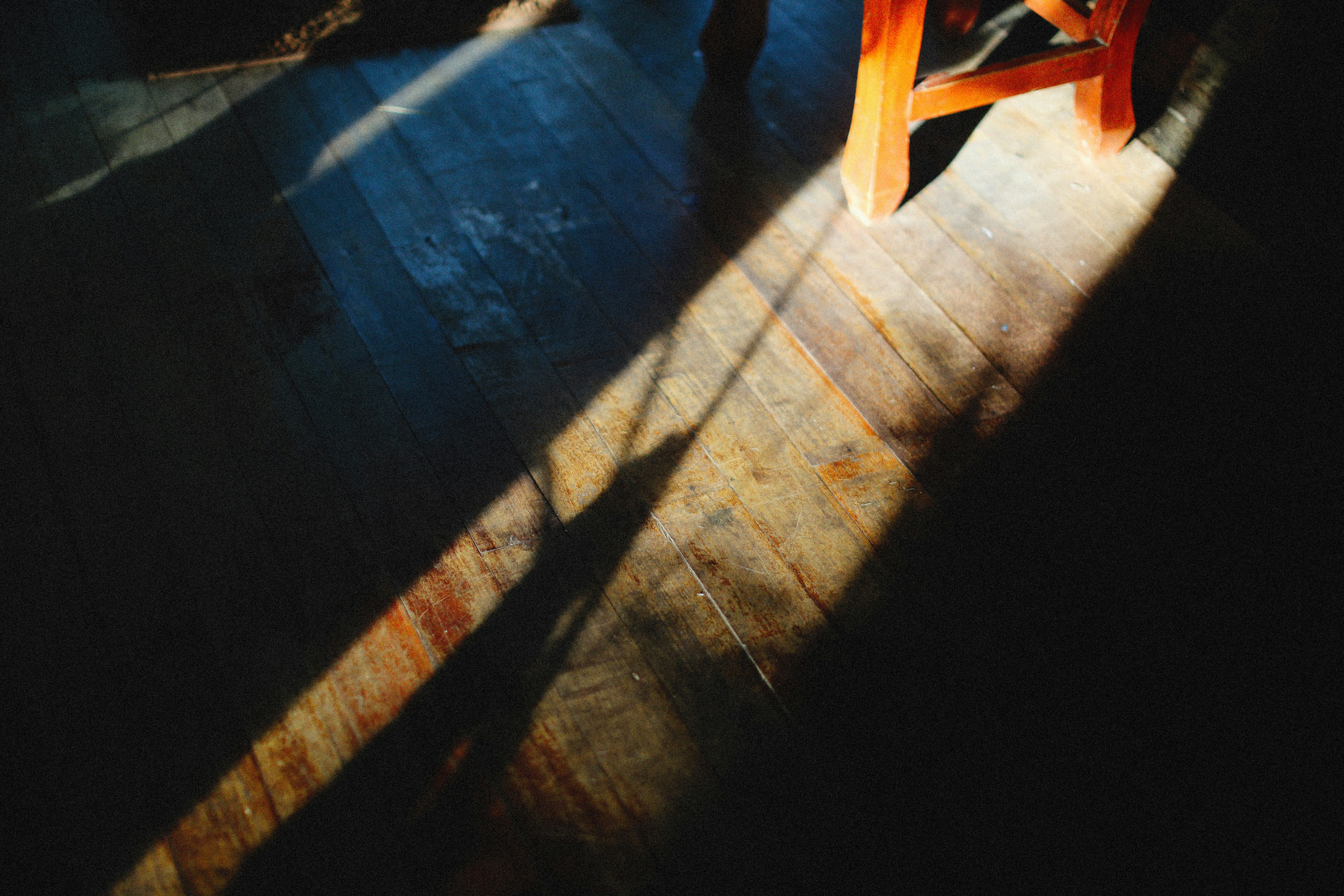 Photo by alexeydemidov