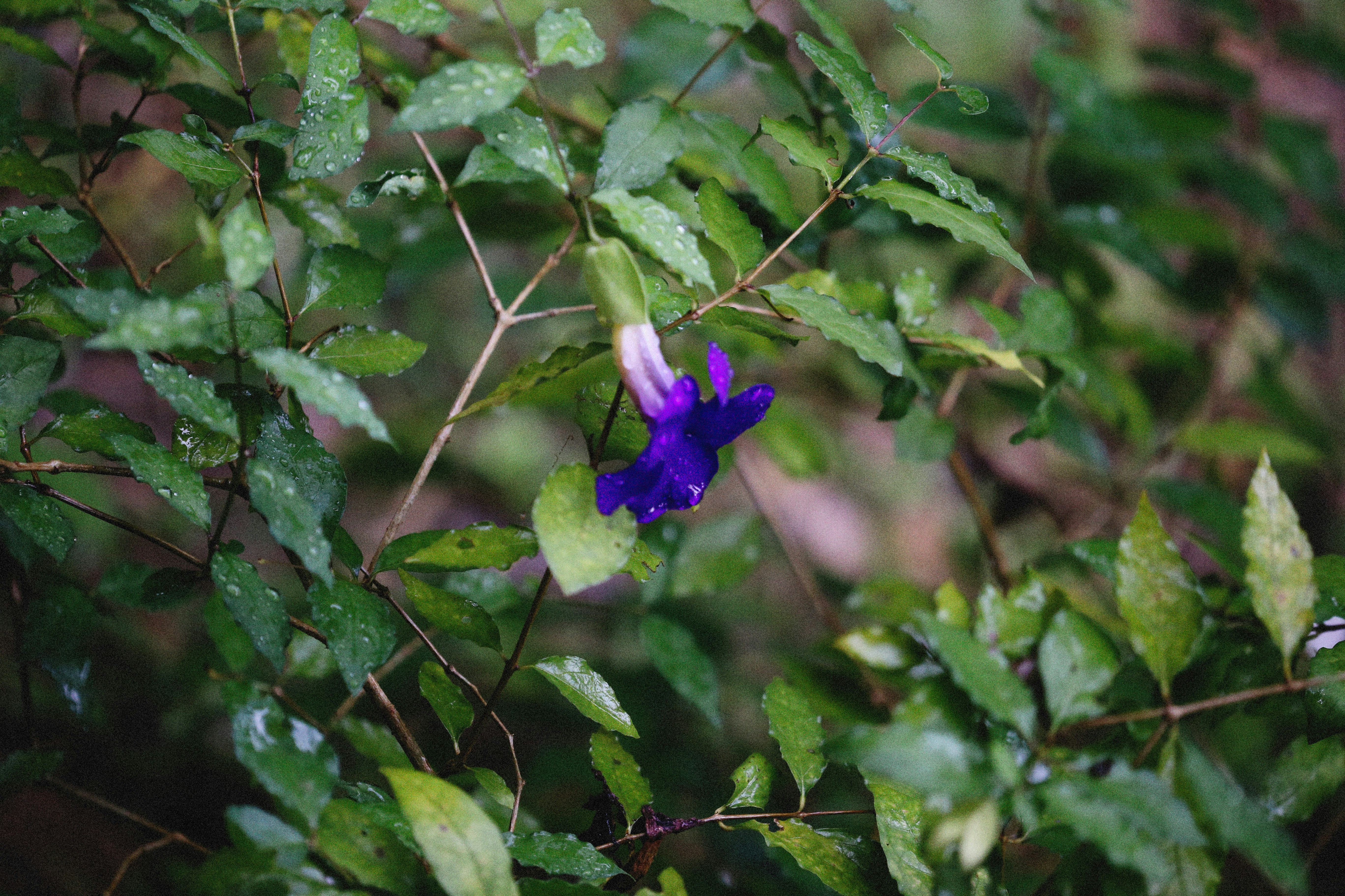 Photo by alexeydemidov