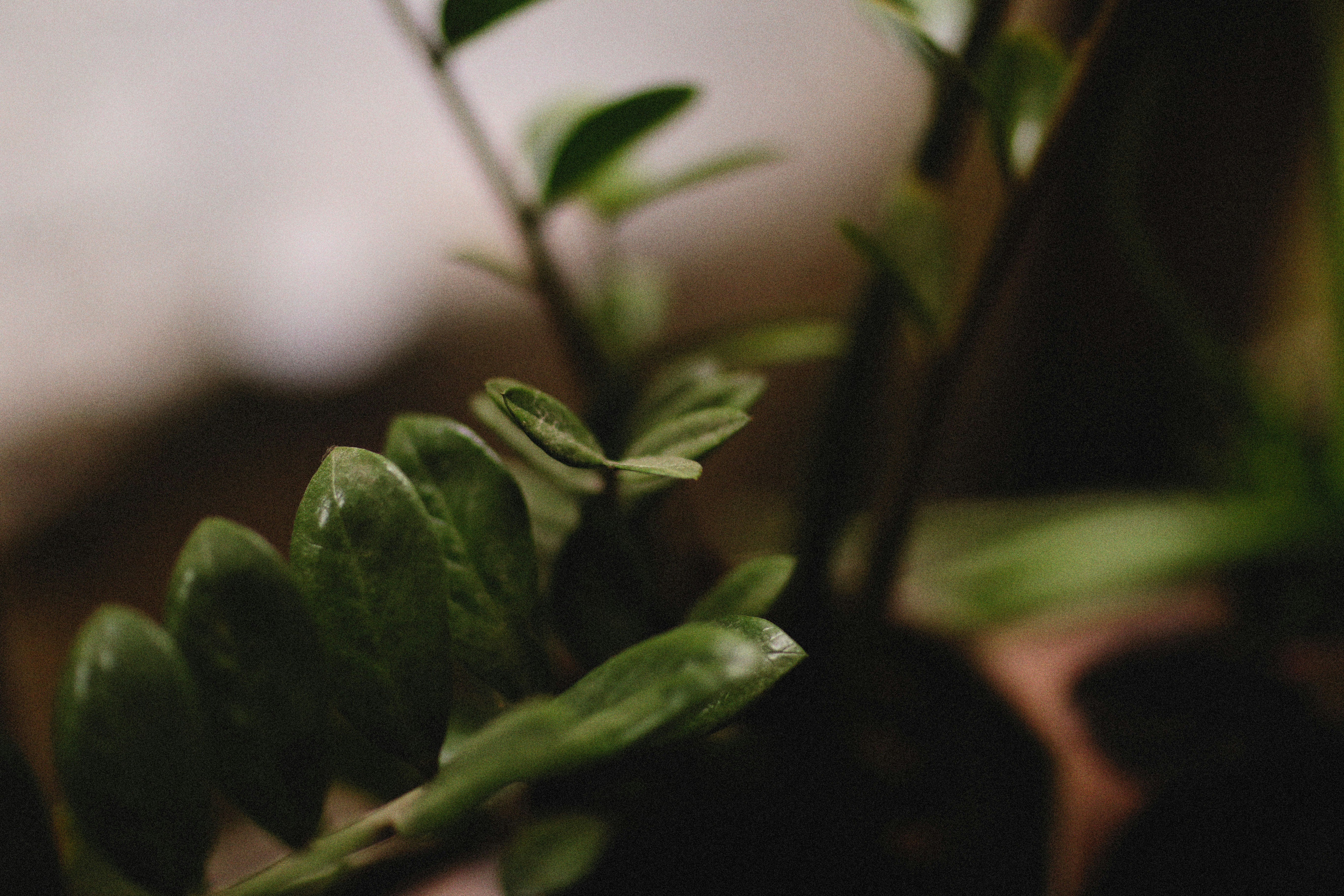 Photo by alexeydemidov