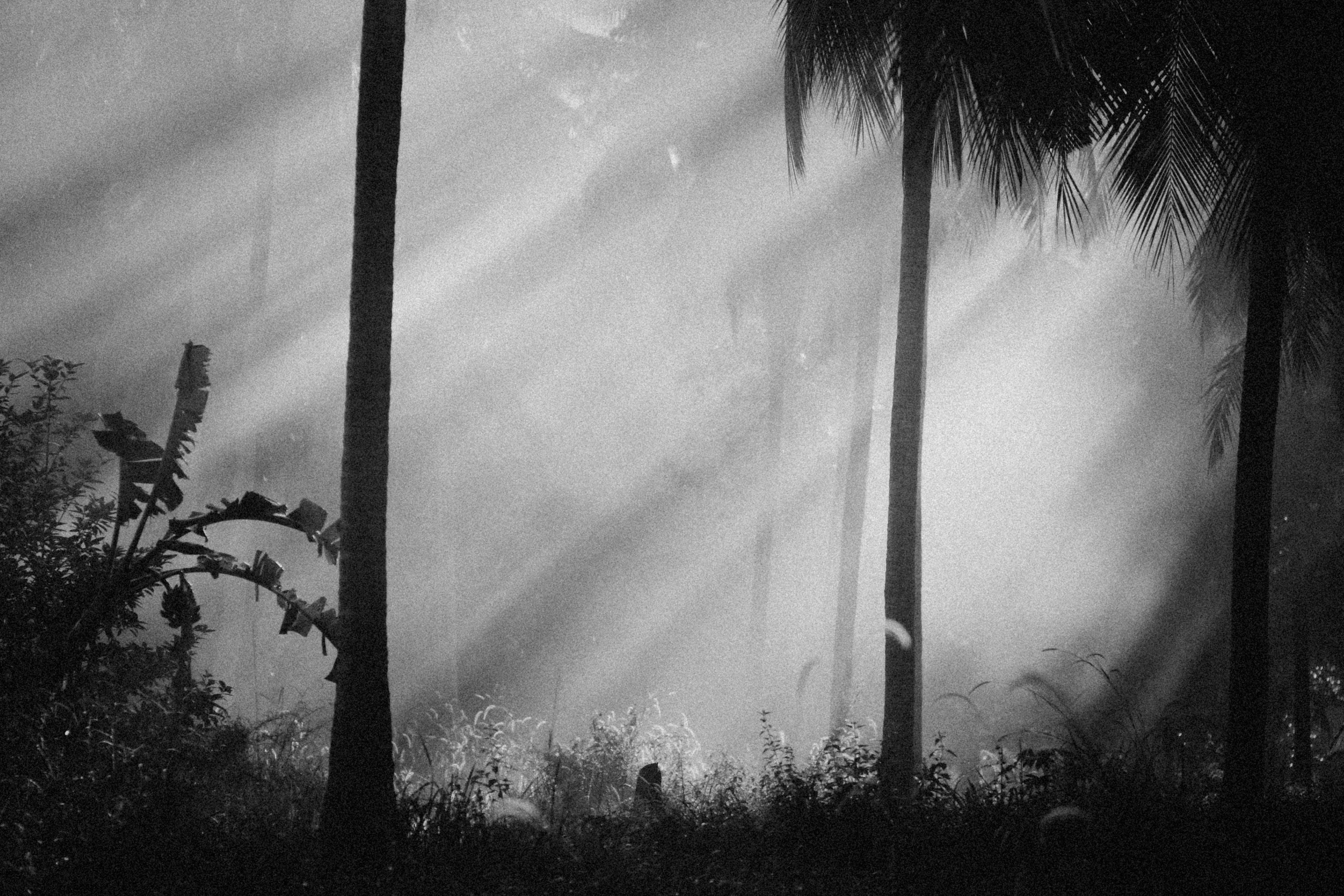 Photo by alexeydemidov