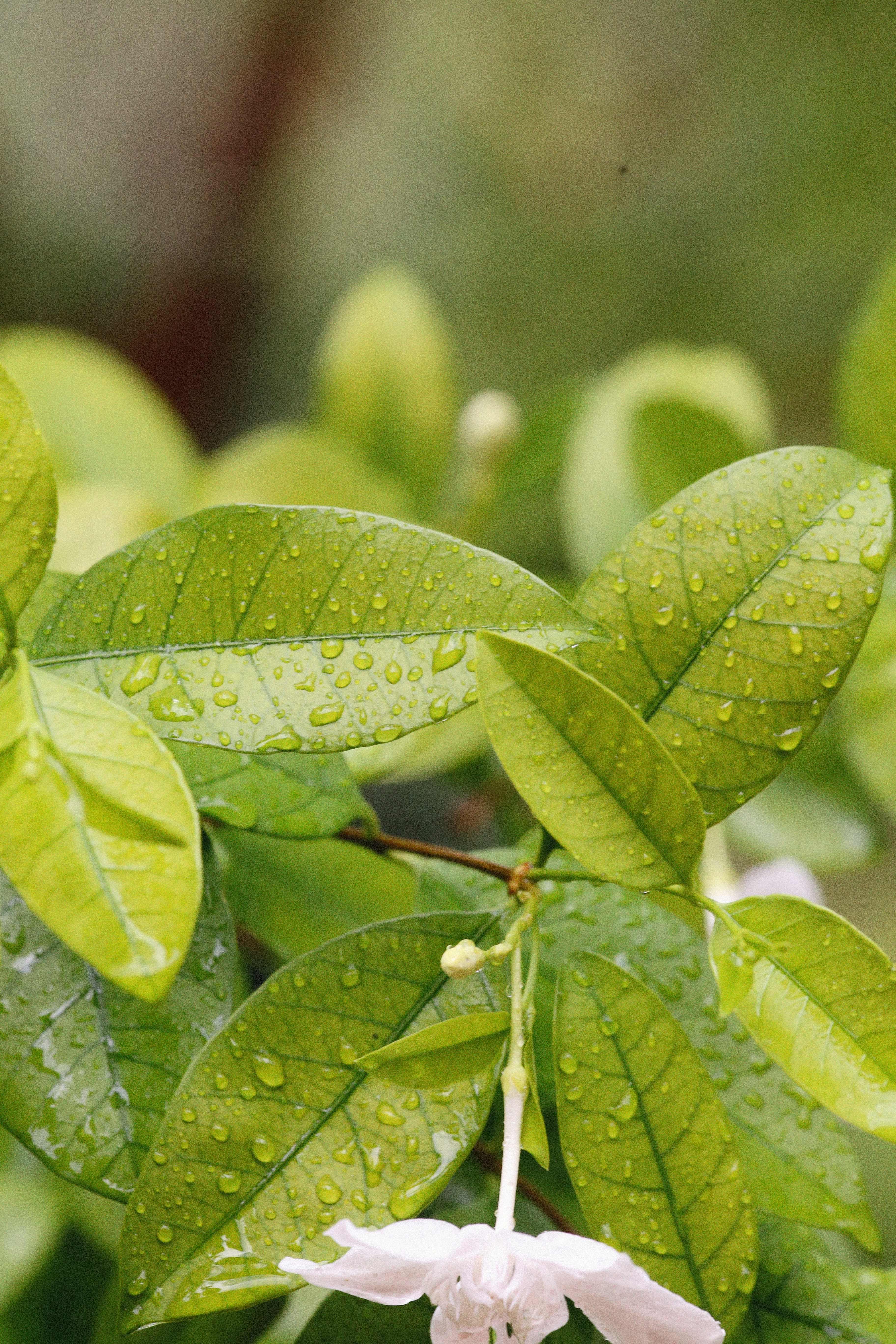 Photo by alexeydemidov