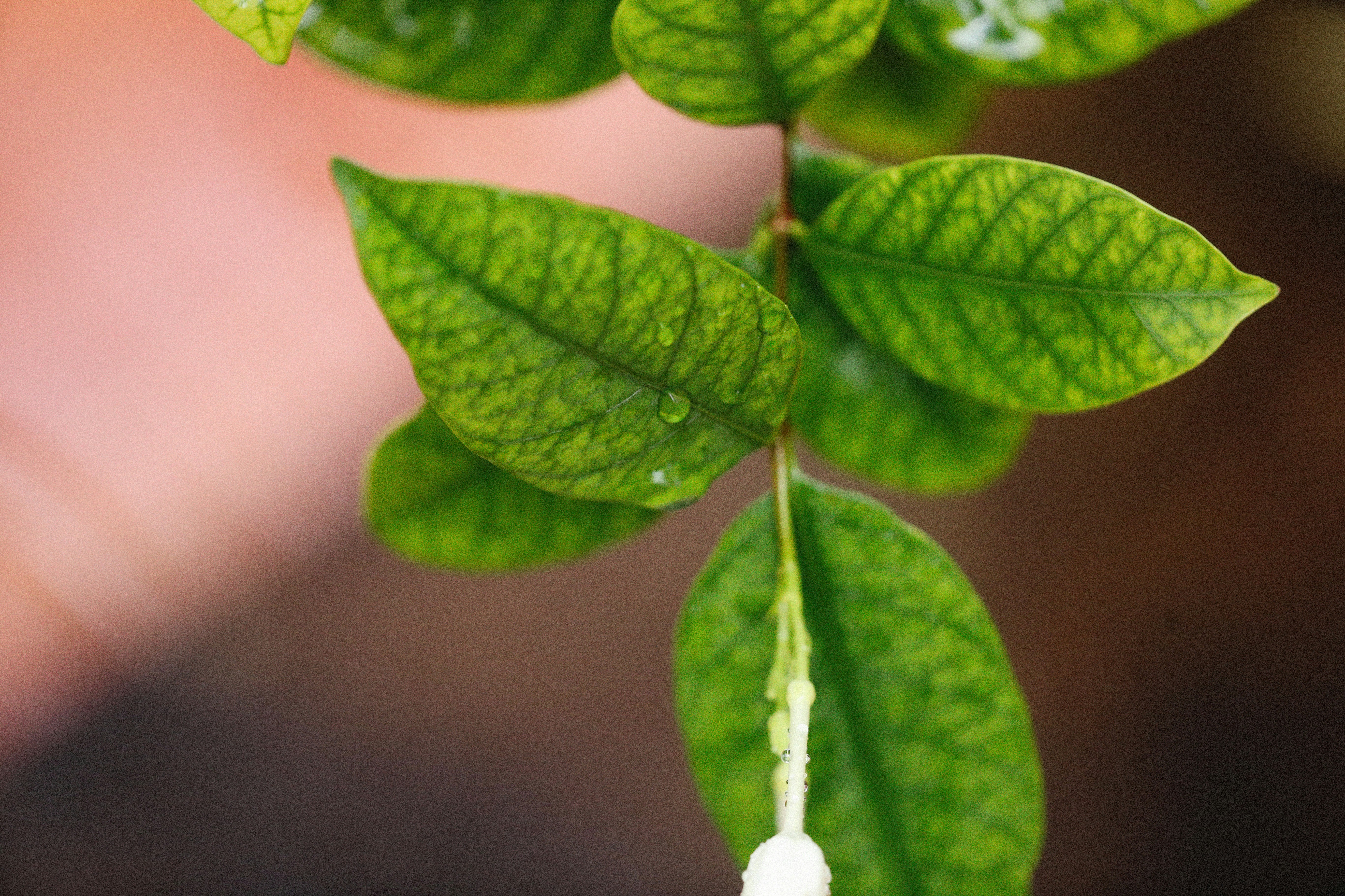 Photo by alexeydemidov