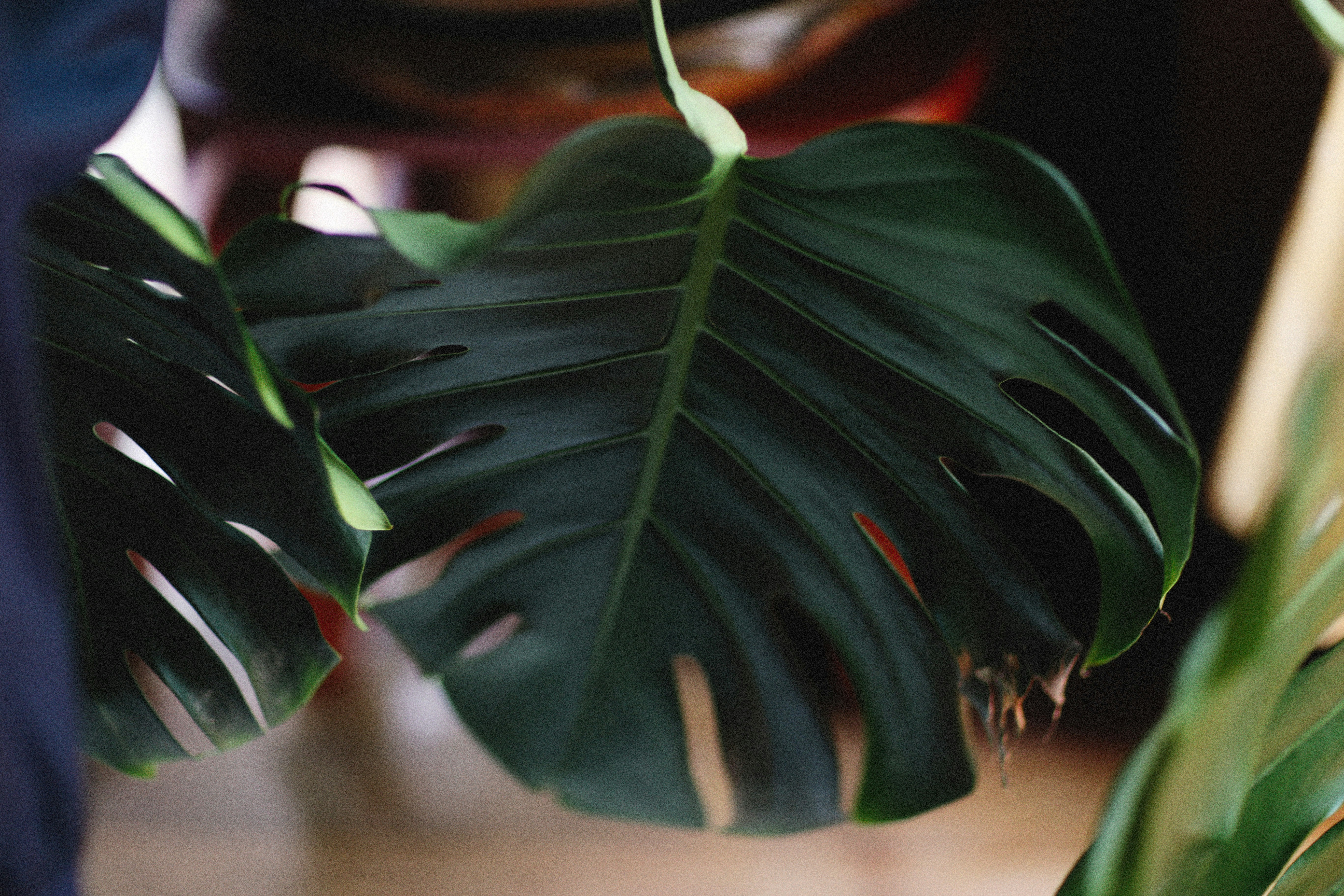 Photo by alexeydemidov