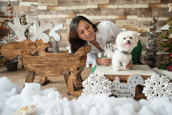 A cozy family workshop in Celaya with colorful pet clothes hanging and a happy dog wearing a handmade outfit.