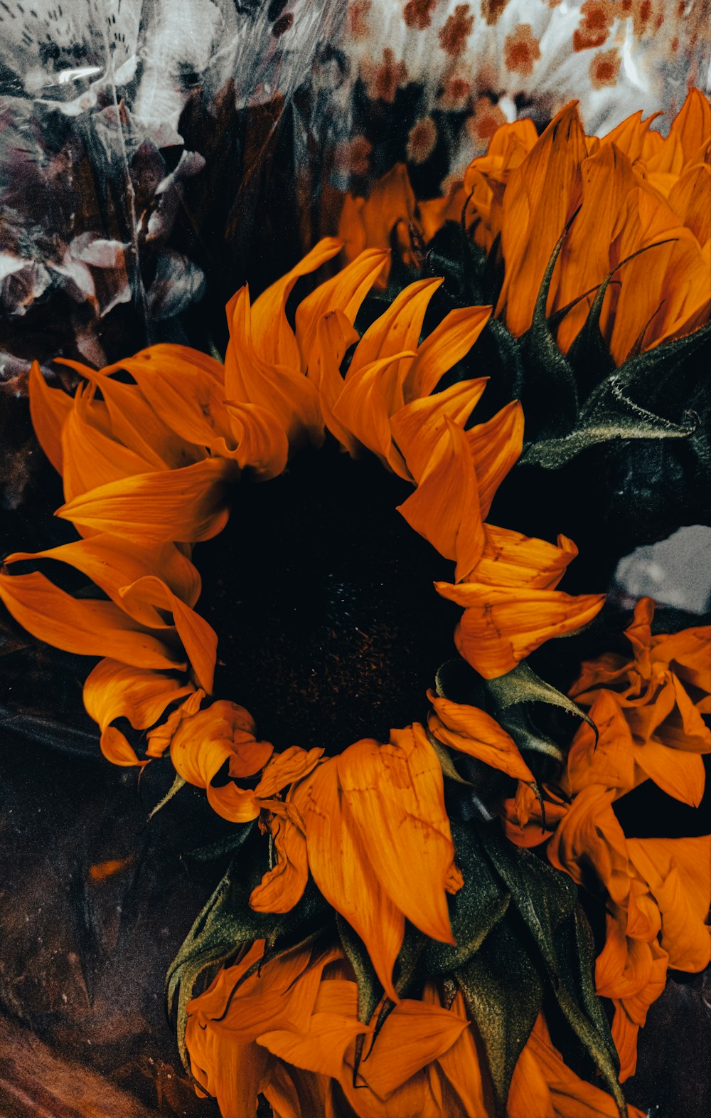 a group of orange flowers