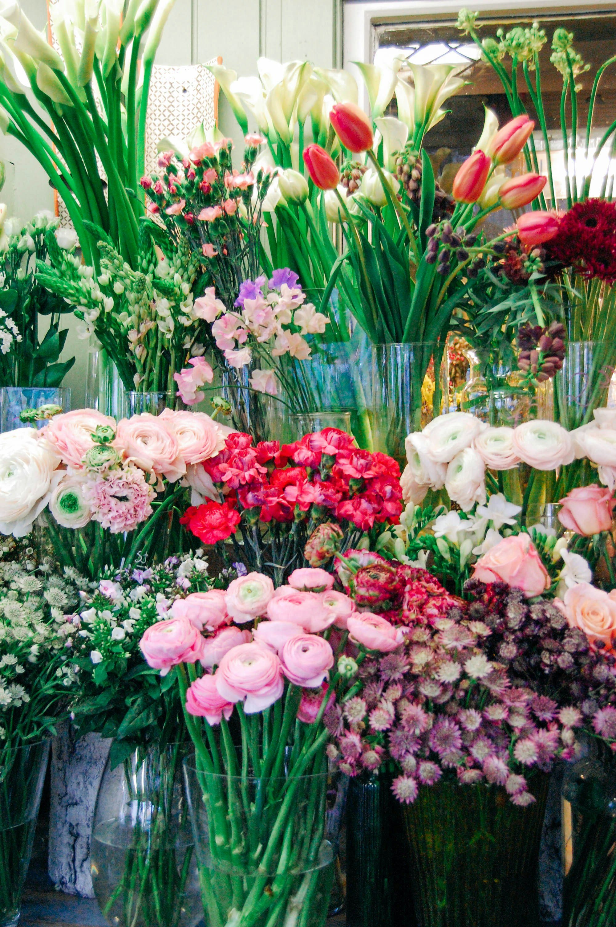 Photo by lexilaginess