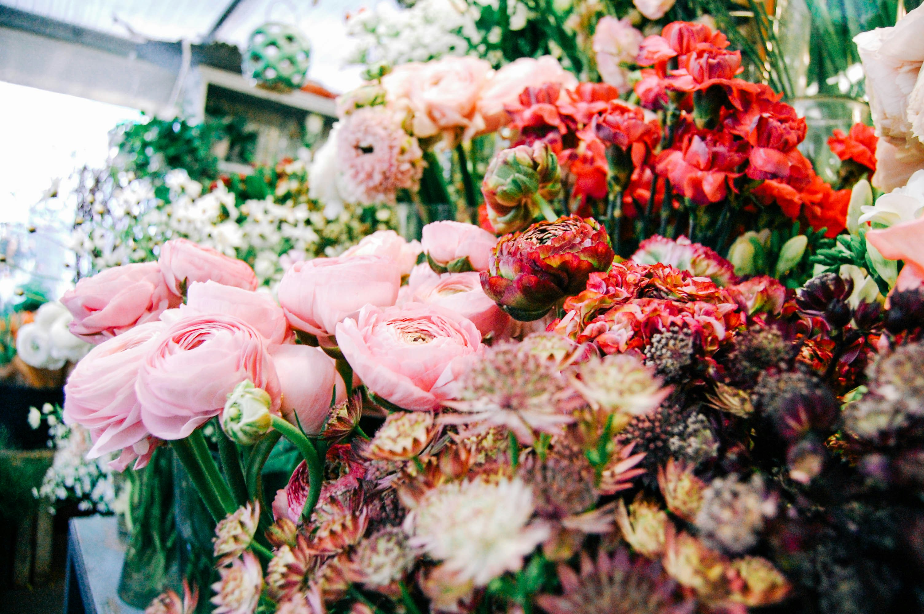 Photo by lexilaginess