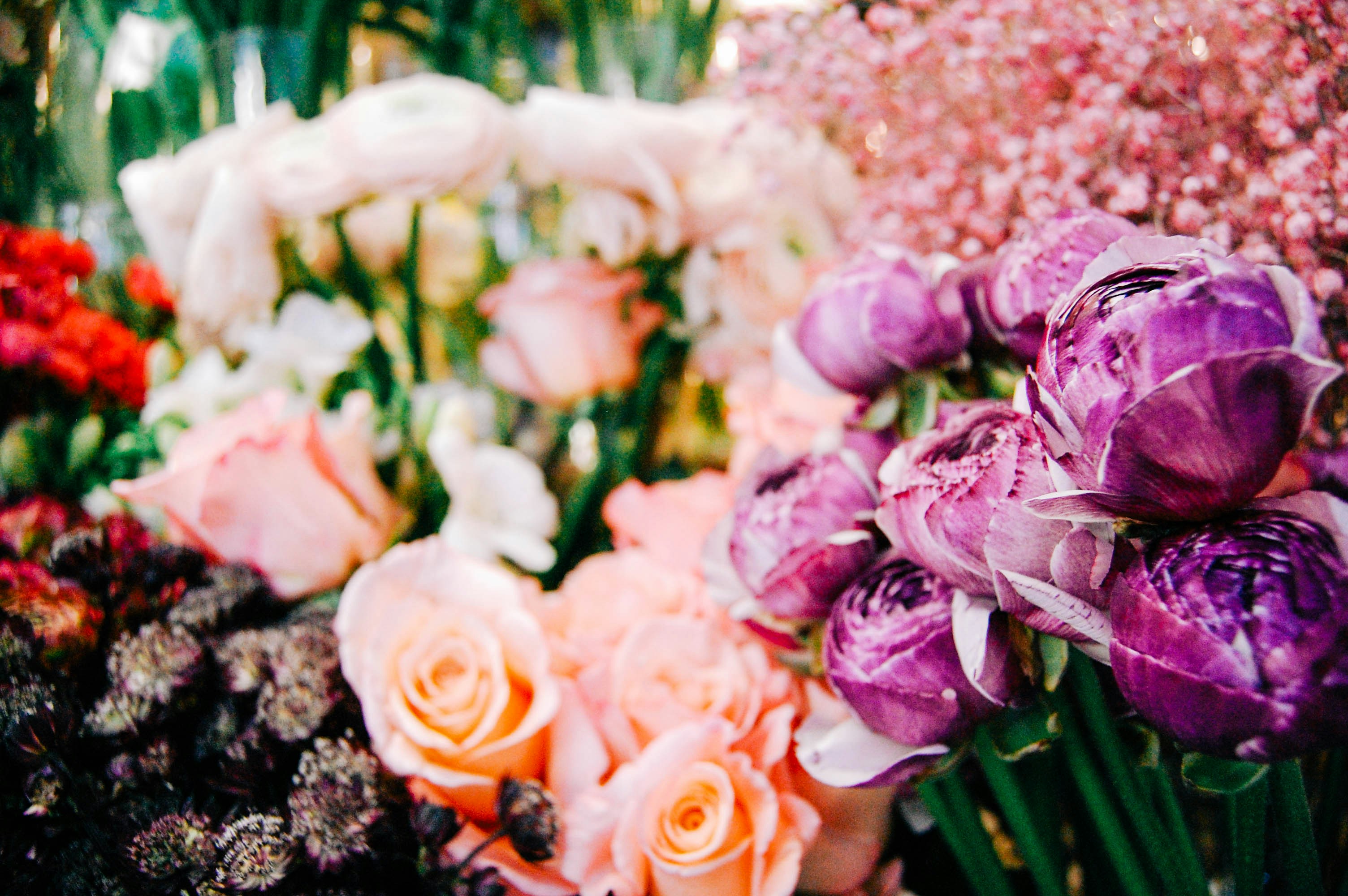 Photo by lexilaginess