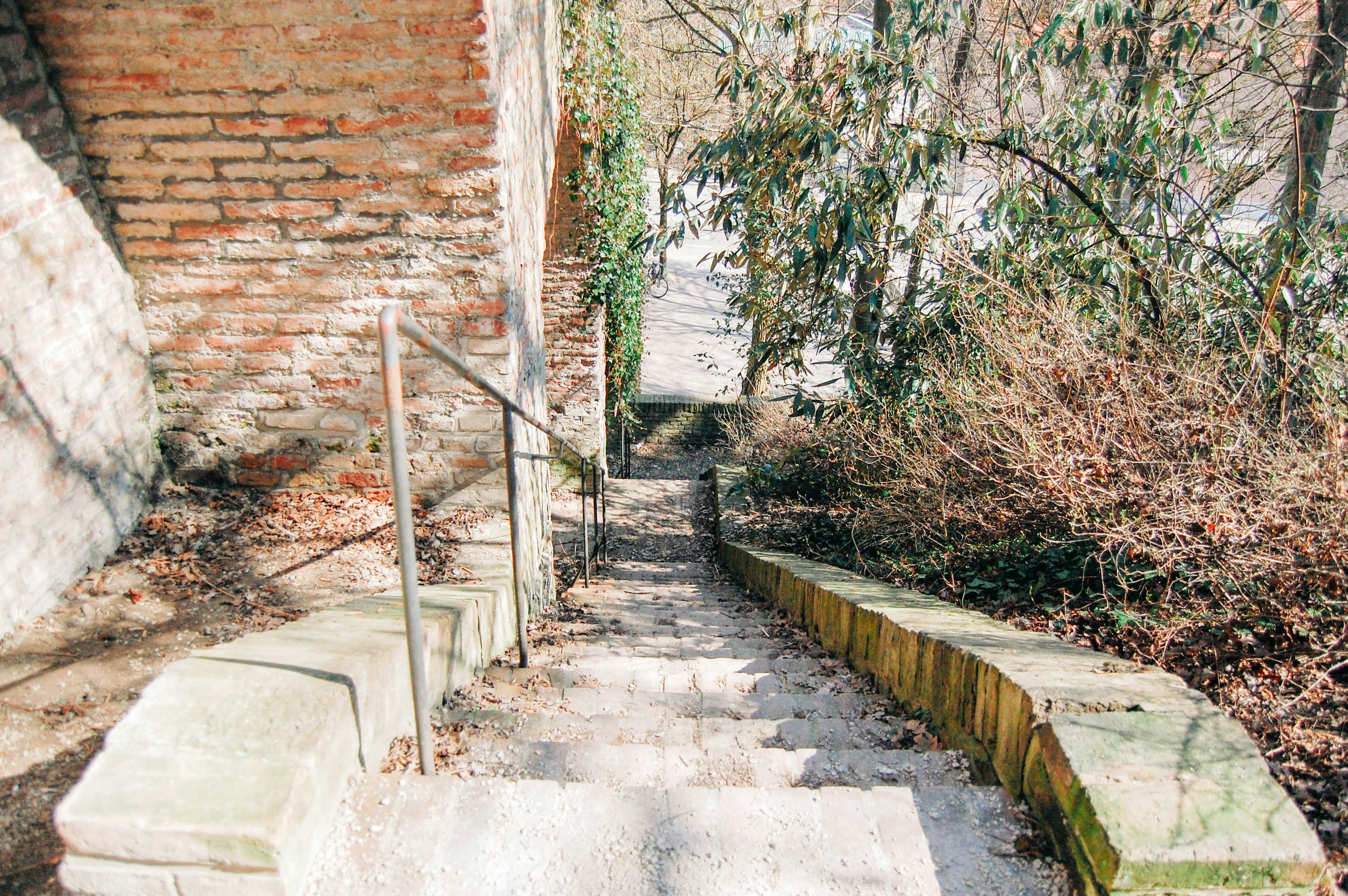 Photo by lexilaginess