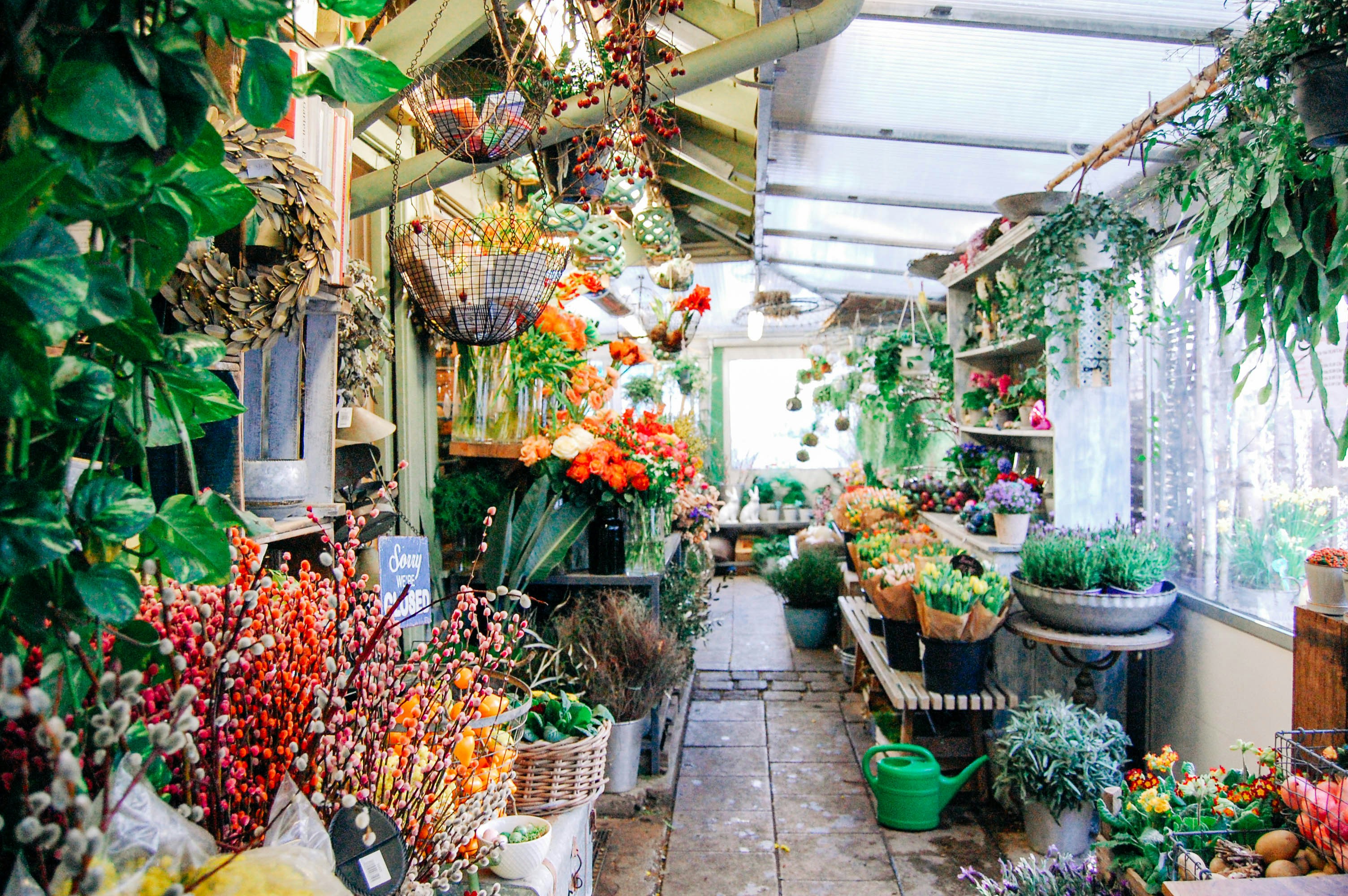 Photo by lexilaginess