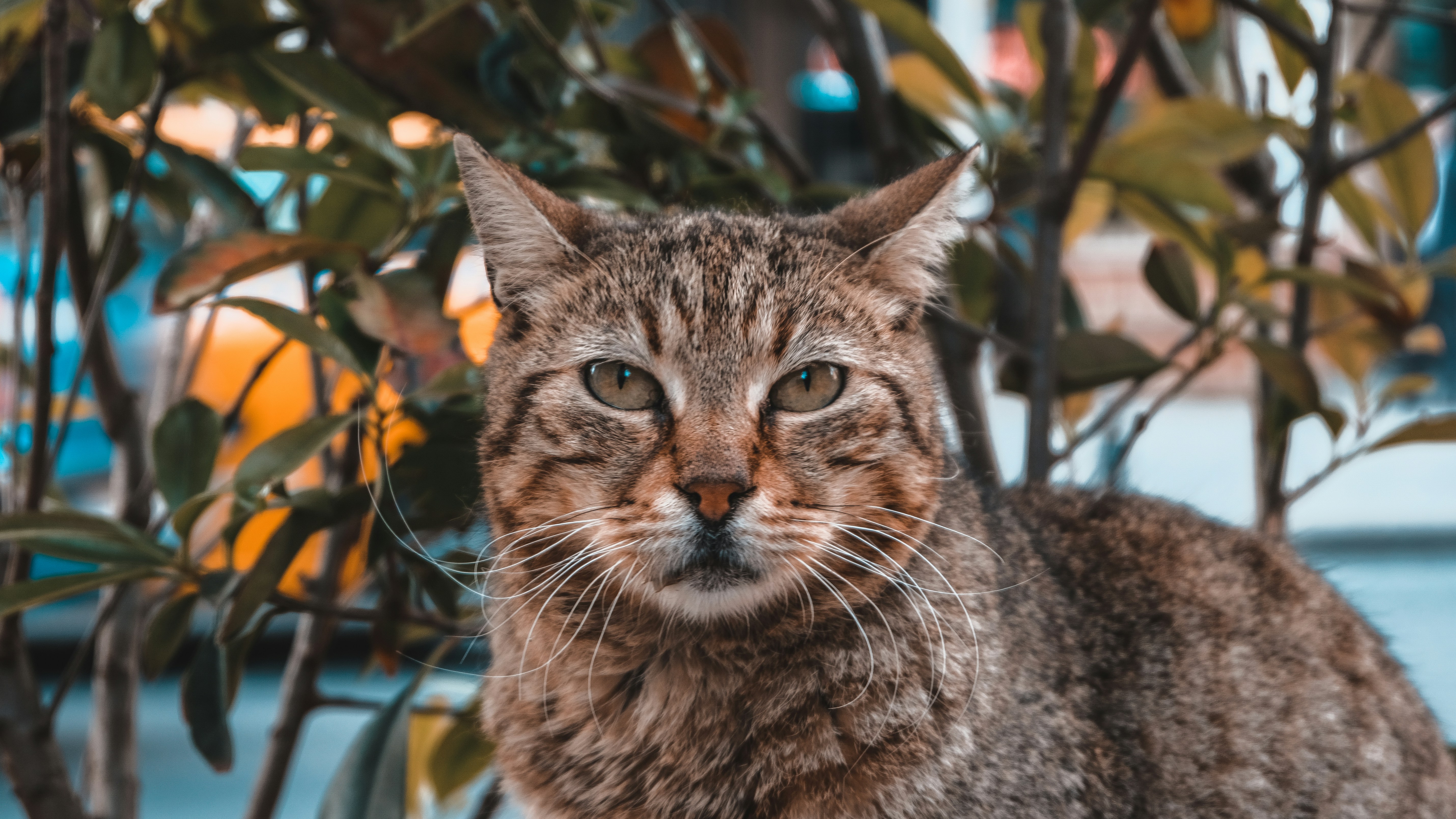 Photo by serhaterdogan