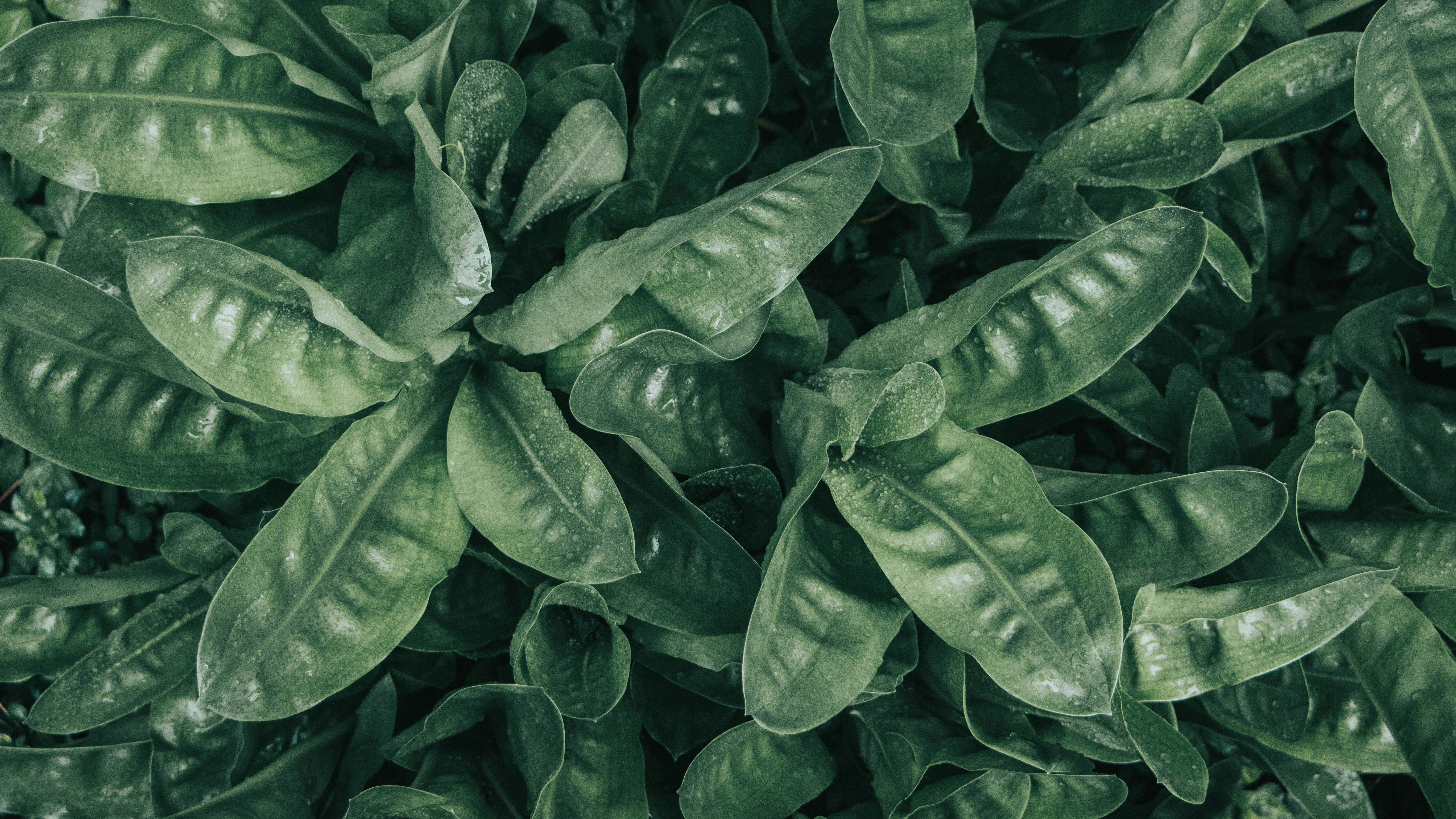 Photo by rishabh_mathew