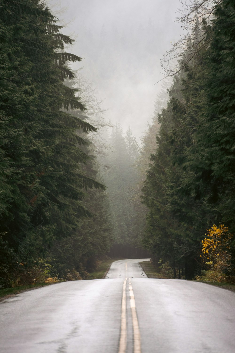 a road with snow on the side