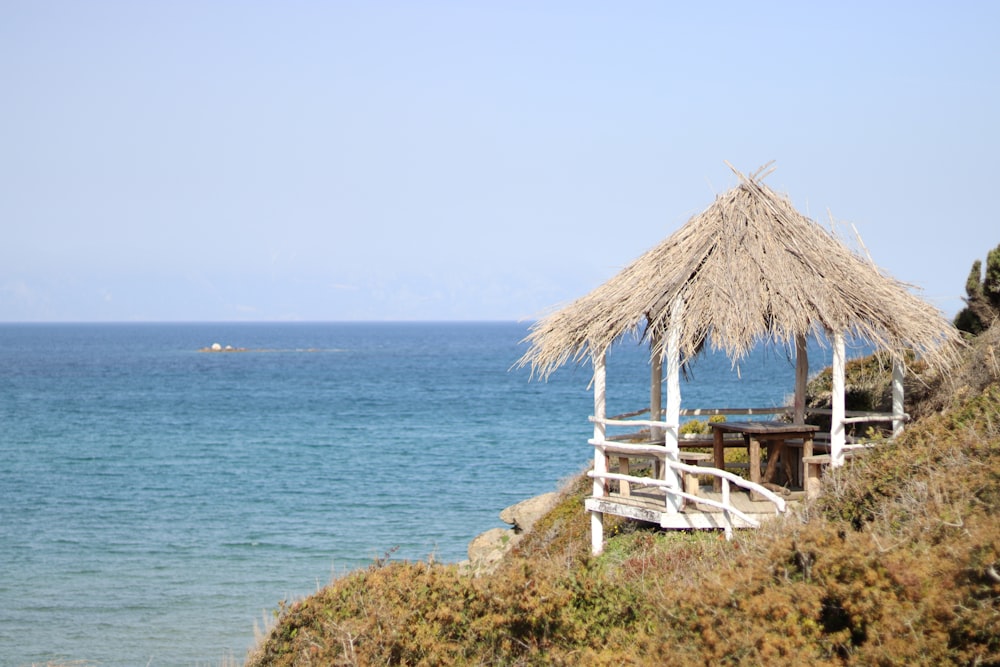 a hut on a beach