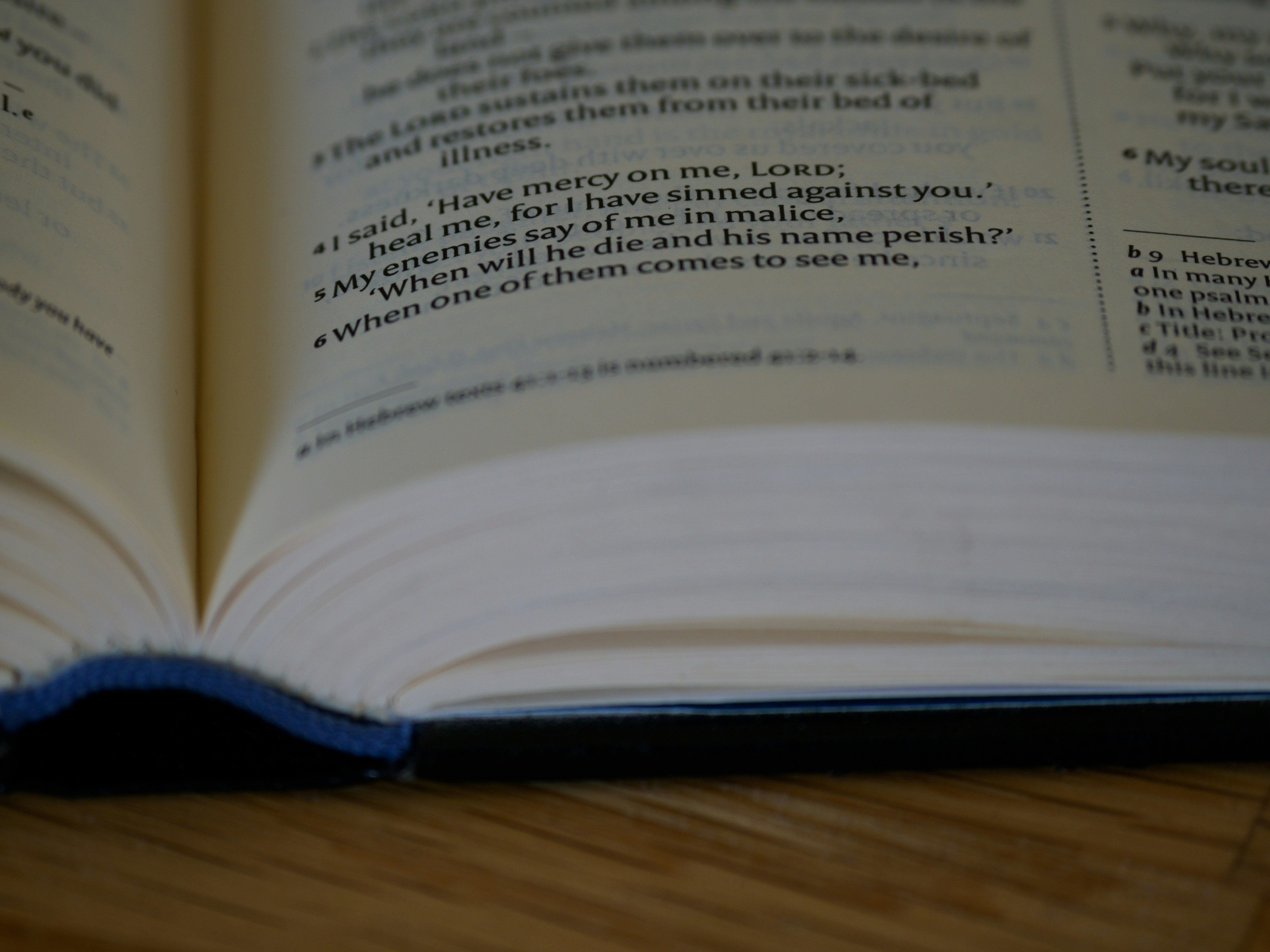 Photo by brett_jordan