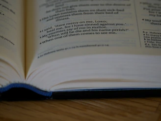 Close-up of a reader deeply engaged with a Vastu book, highlighting the text and illustrations.