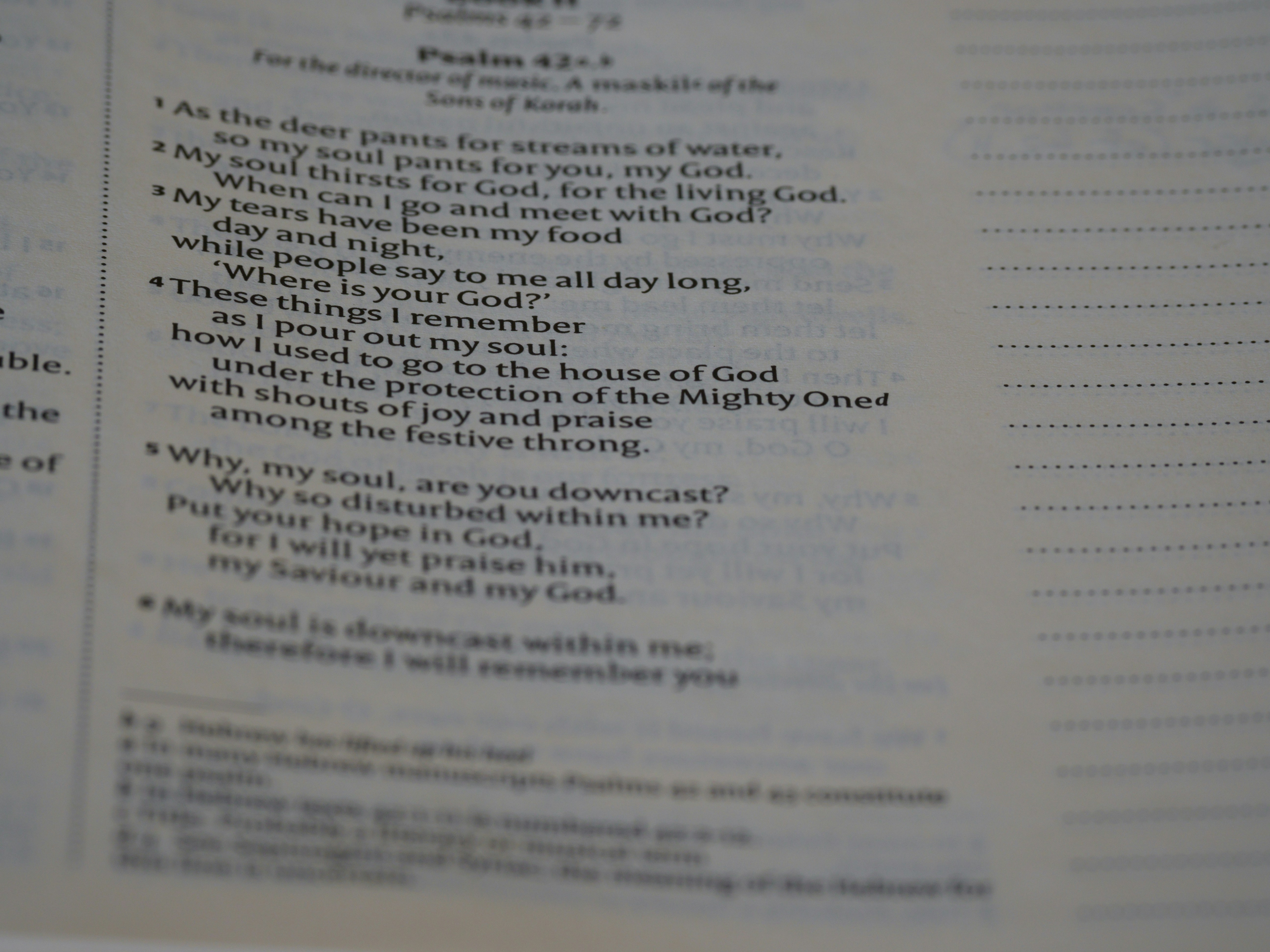 Photo by brett_jordan